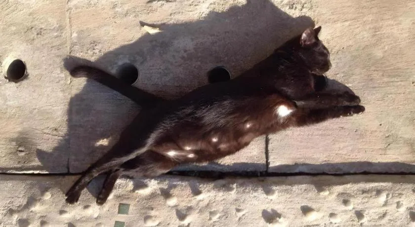 Baan ChanKhiang at ChiangKhan