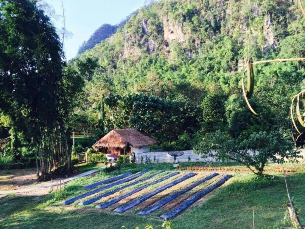Chiang Dao Hut