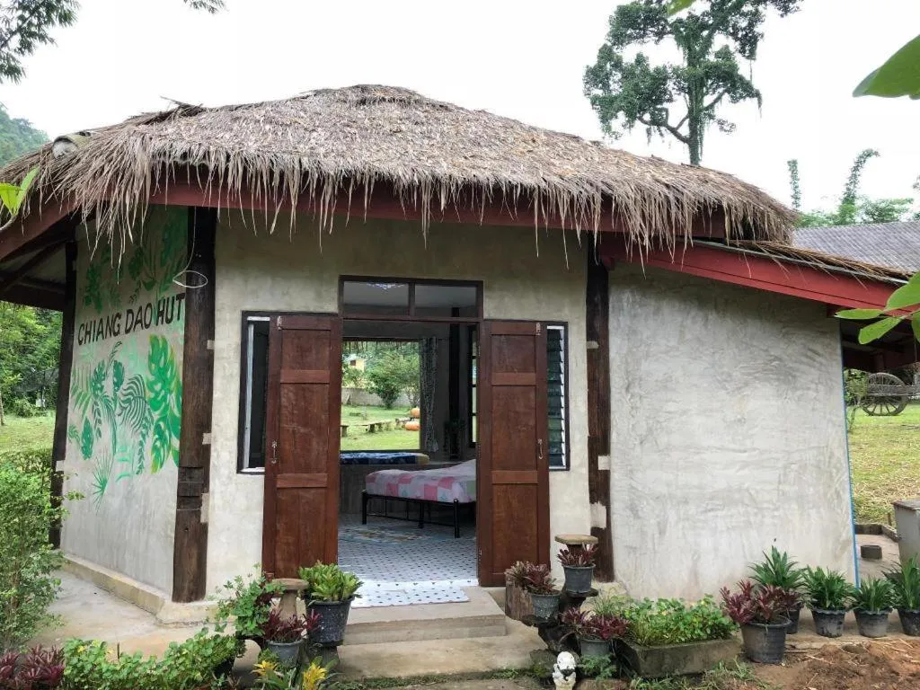 Chiang Dao Hut