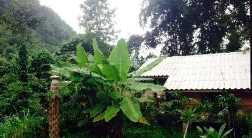 Chiang Dao Hut