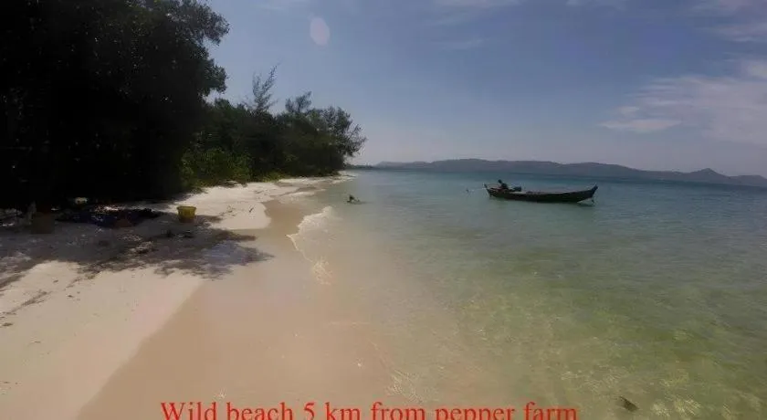 Pepper Farm Phu Quoc Bungalow