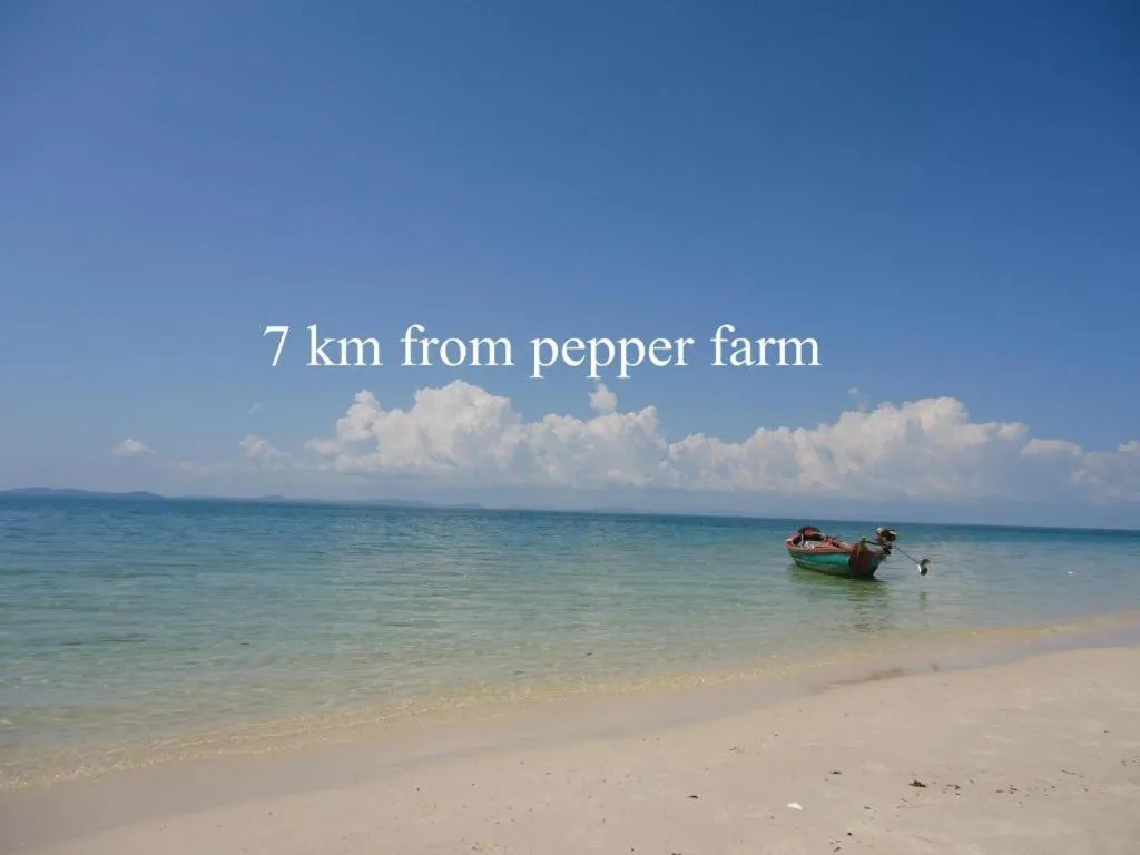 Pepper Farm Phu Quoc Bungalow