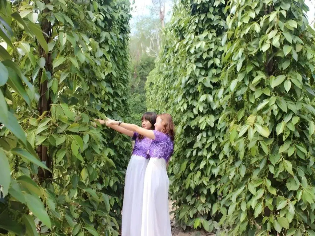 Pepper Farm Phu Quoc Bungalow Pepper Farm Phu Quoc Bungalow