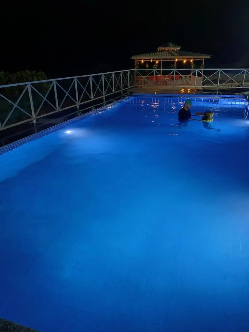 Swimming pool in The Malshej Mist