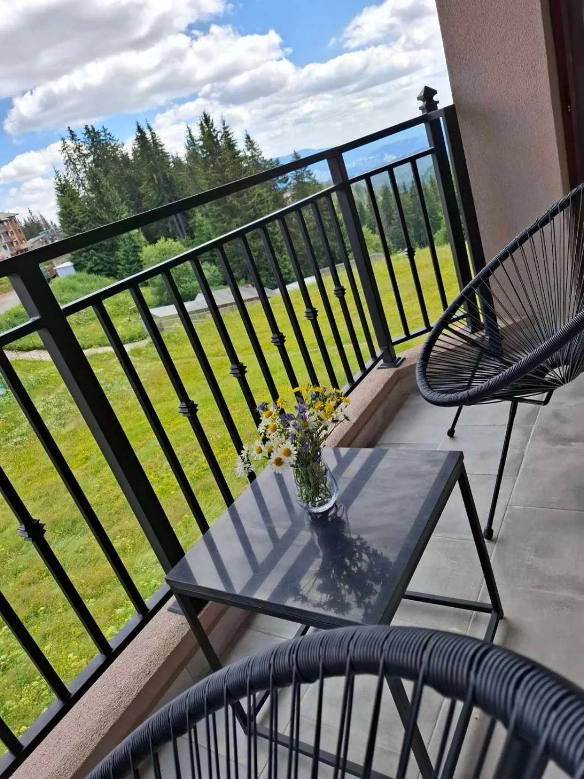 Double Room in The Bear Pamporovo