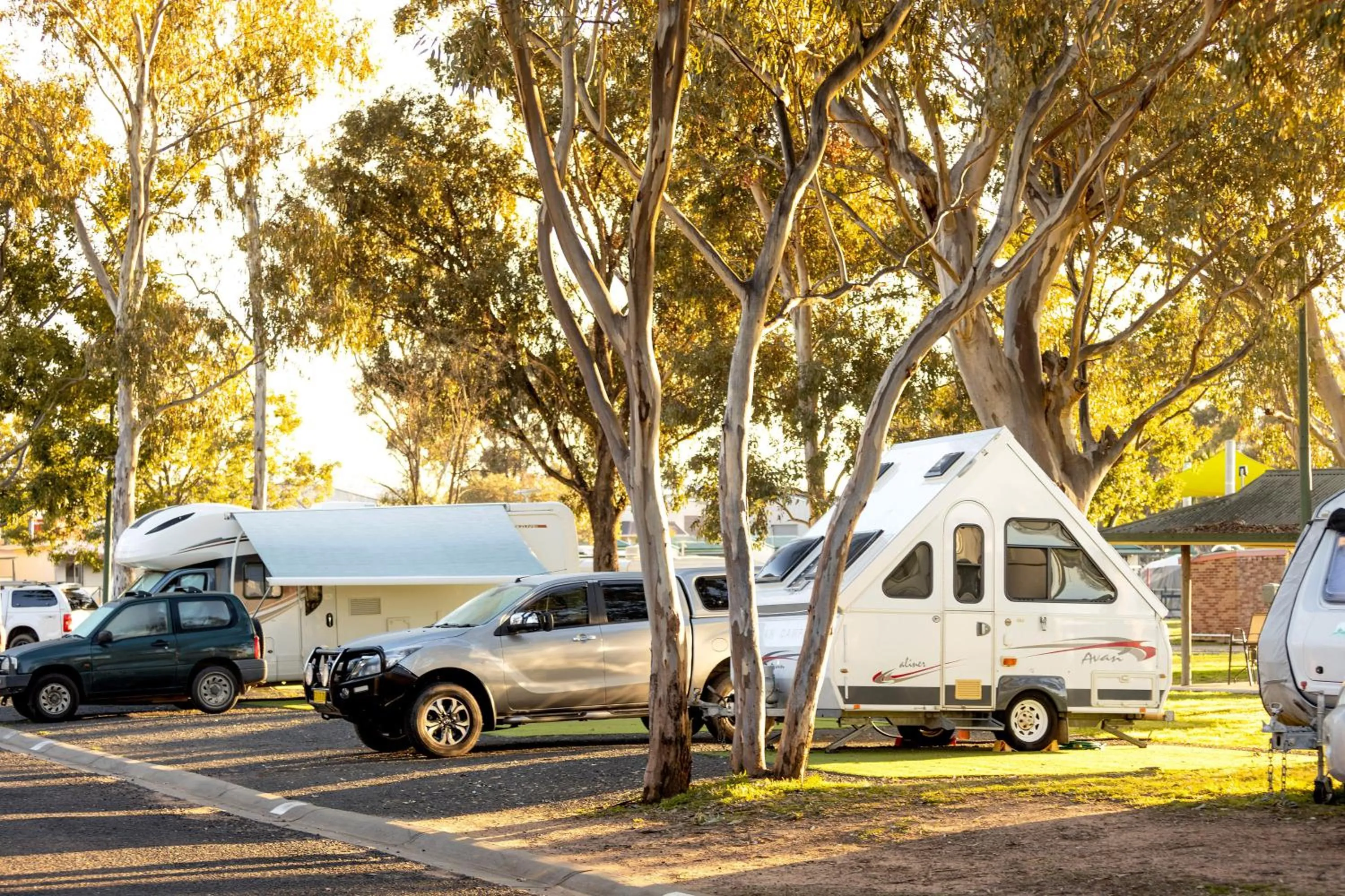 Natural landscape in BIG4 Mudgee Holiday Park