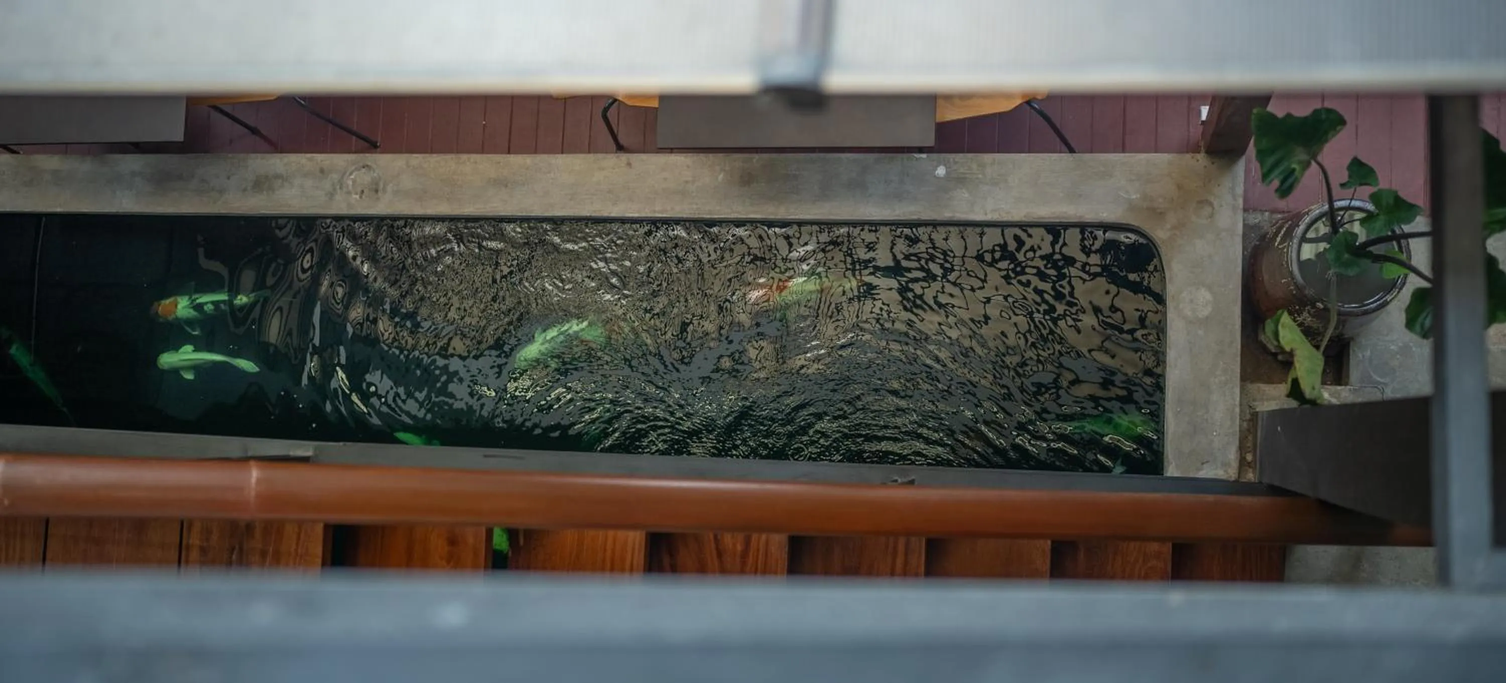 View (from property/room) in The Hotel Journal Chiangmai