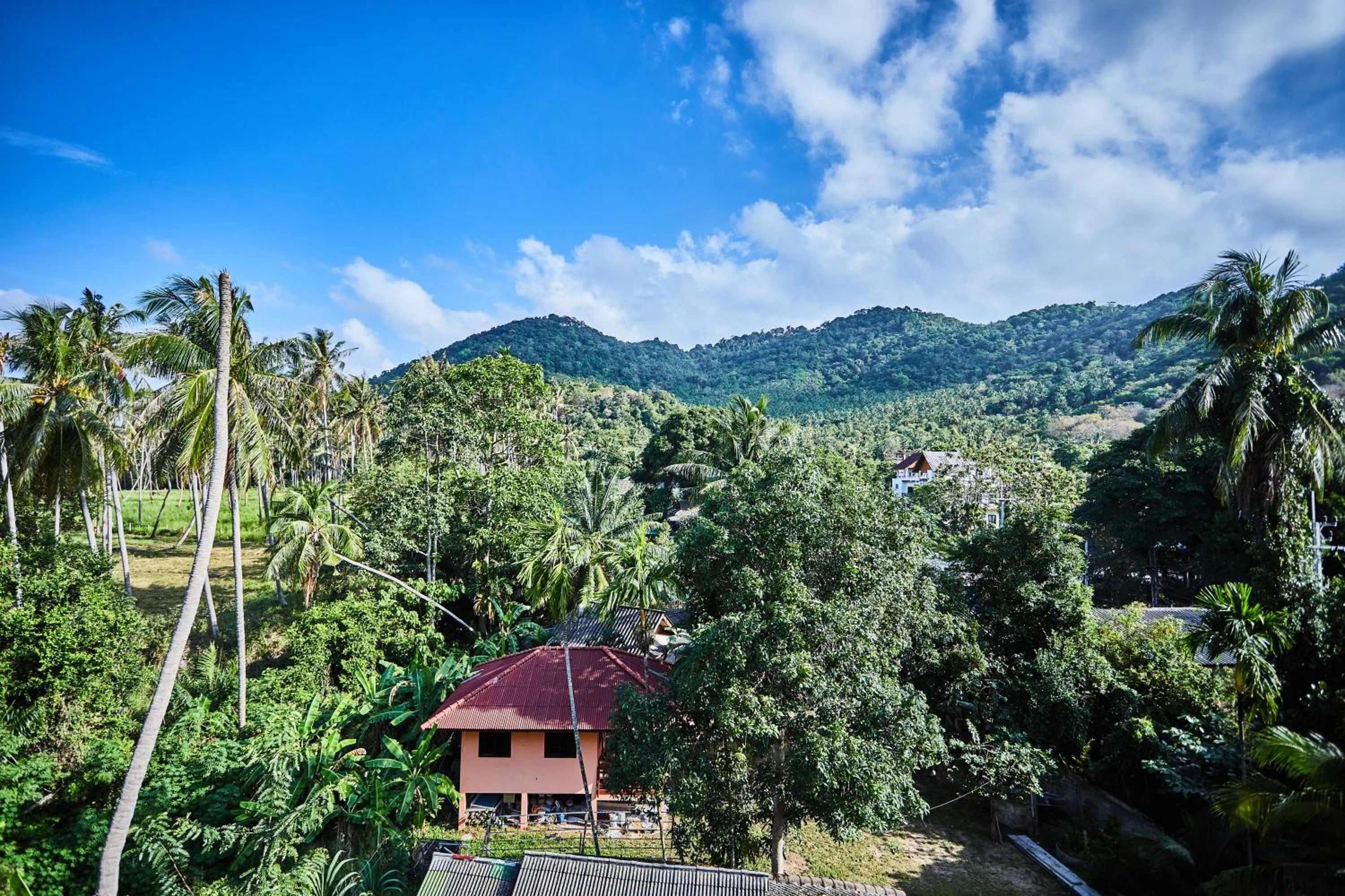Coco Palm Hotel Koh tao