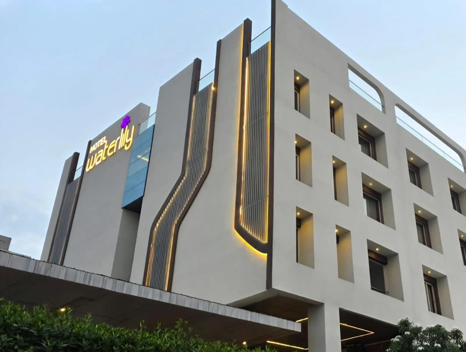 Hotel Waterlily