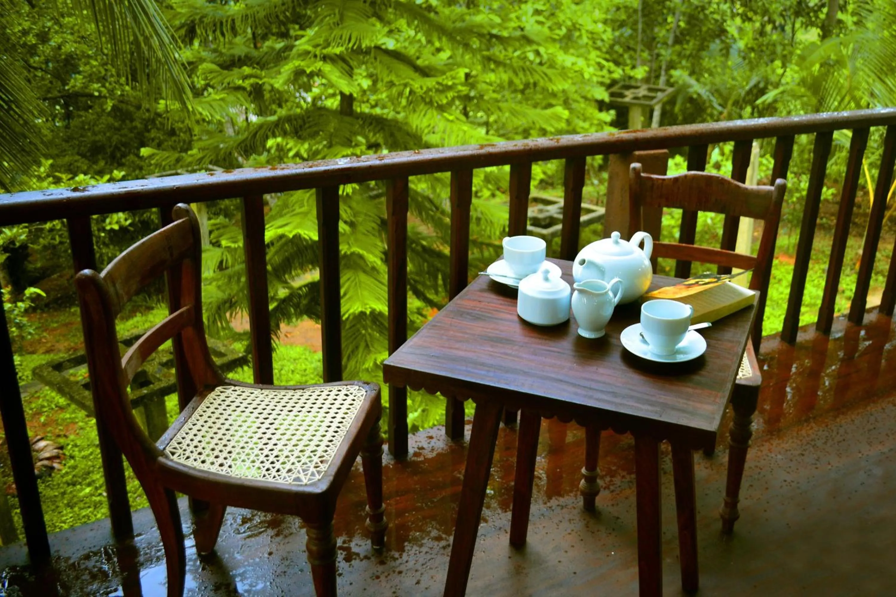 Balcony/Terrace in Tropical Retreat