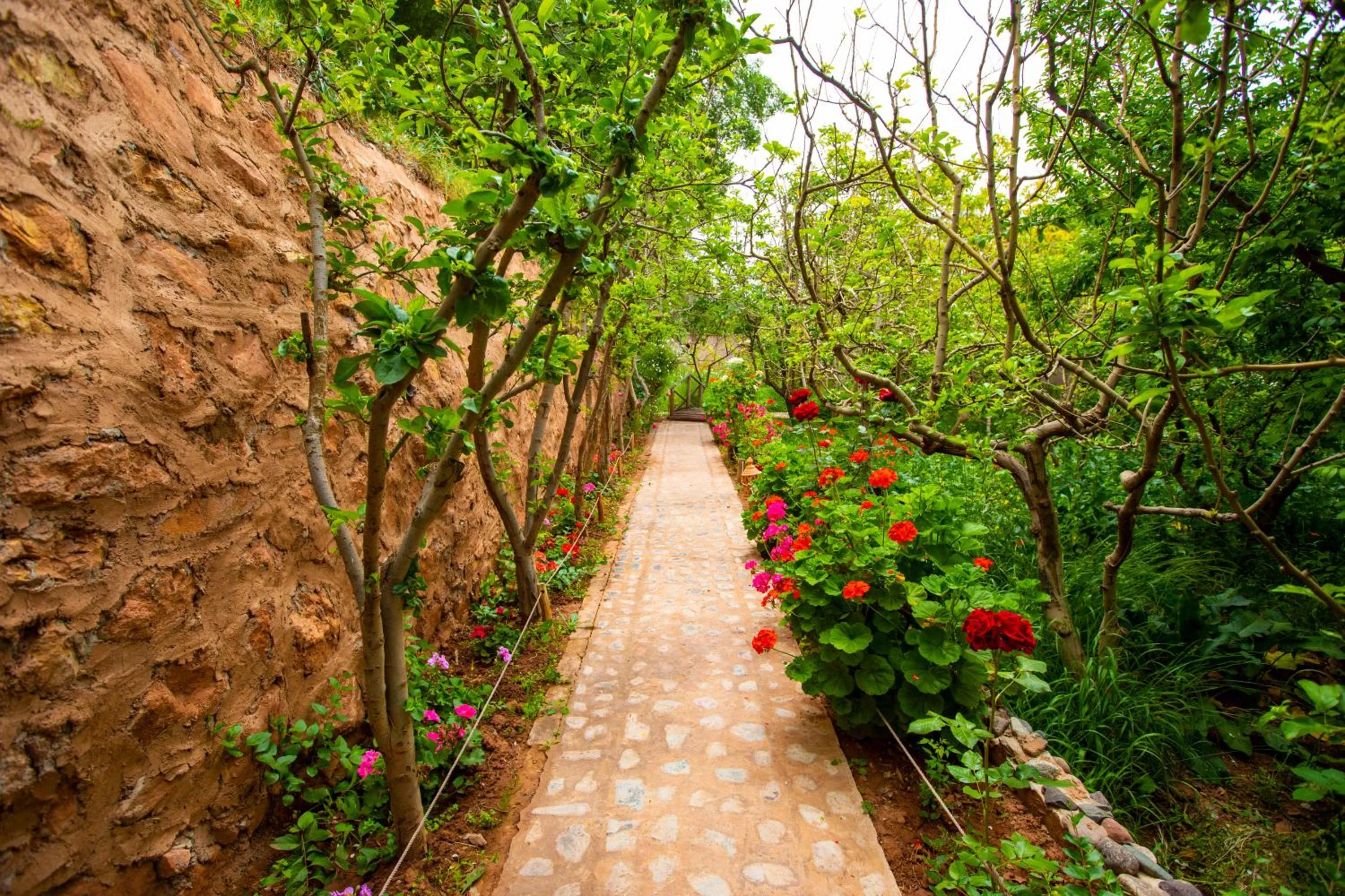 The garden of Asni