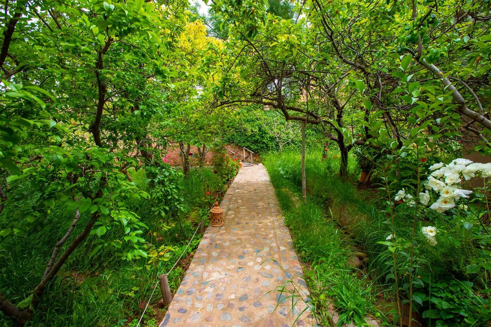 Spring in The garden of Asni
