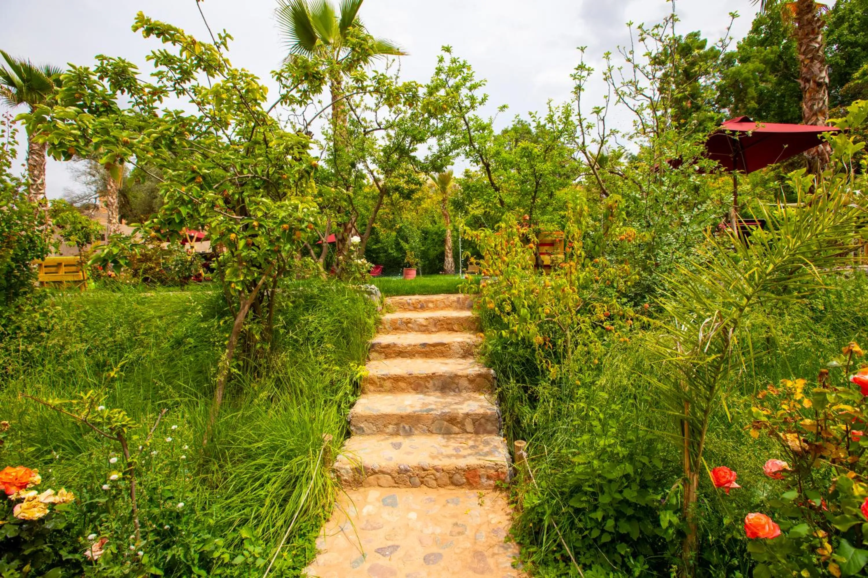 The garden of Asni