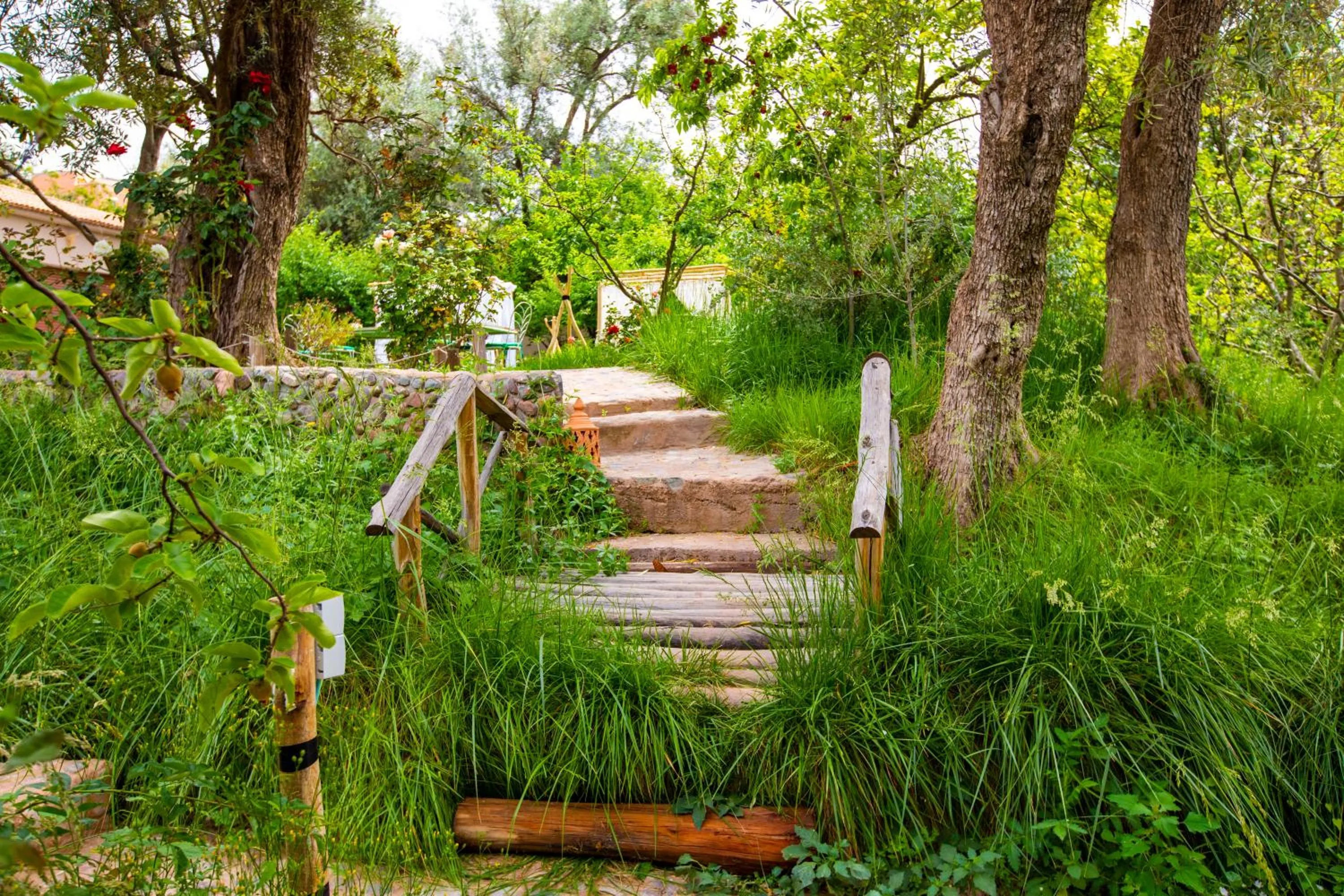 The garden of Asni