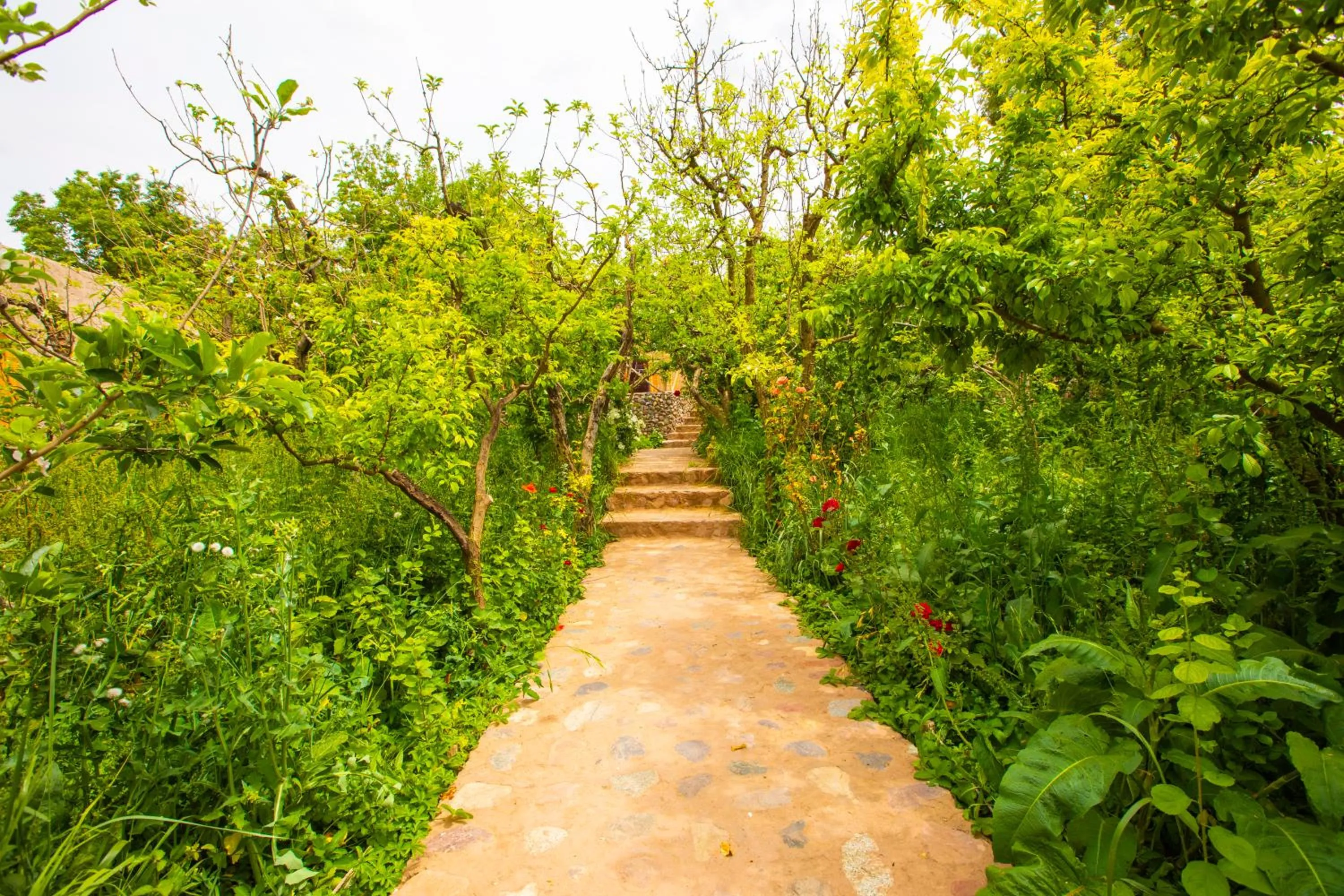 The garden of Asni