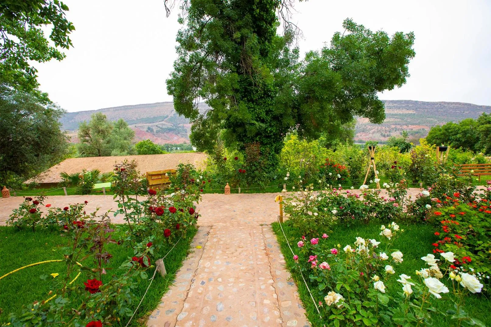 Natural landscape in The garden of Asni