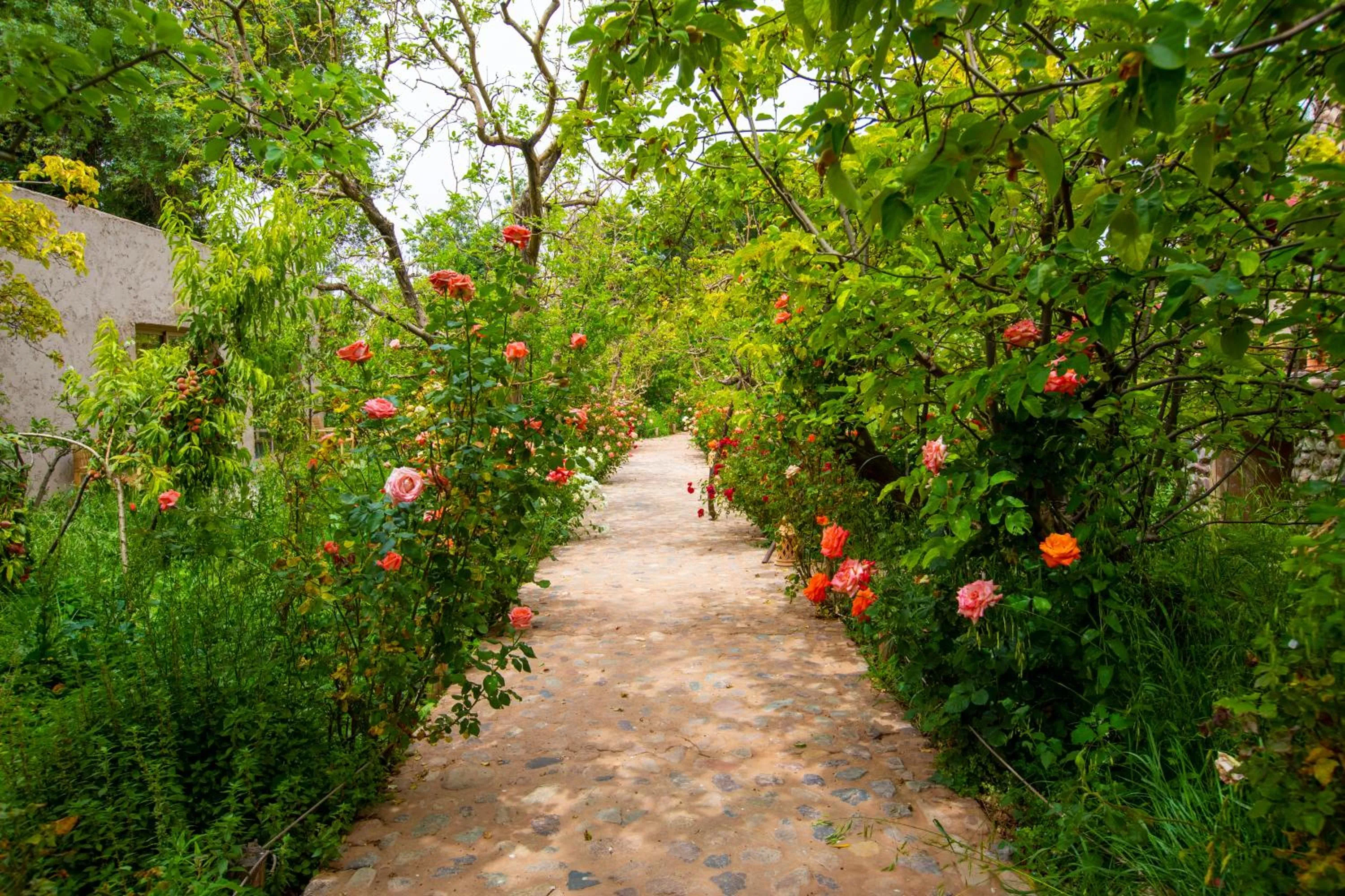 The garden of Asni