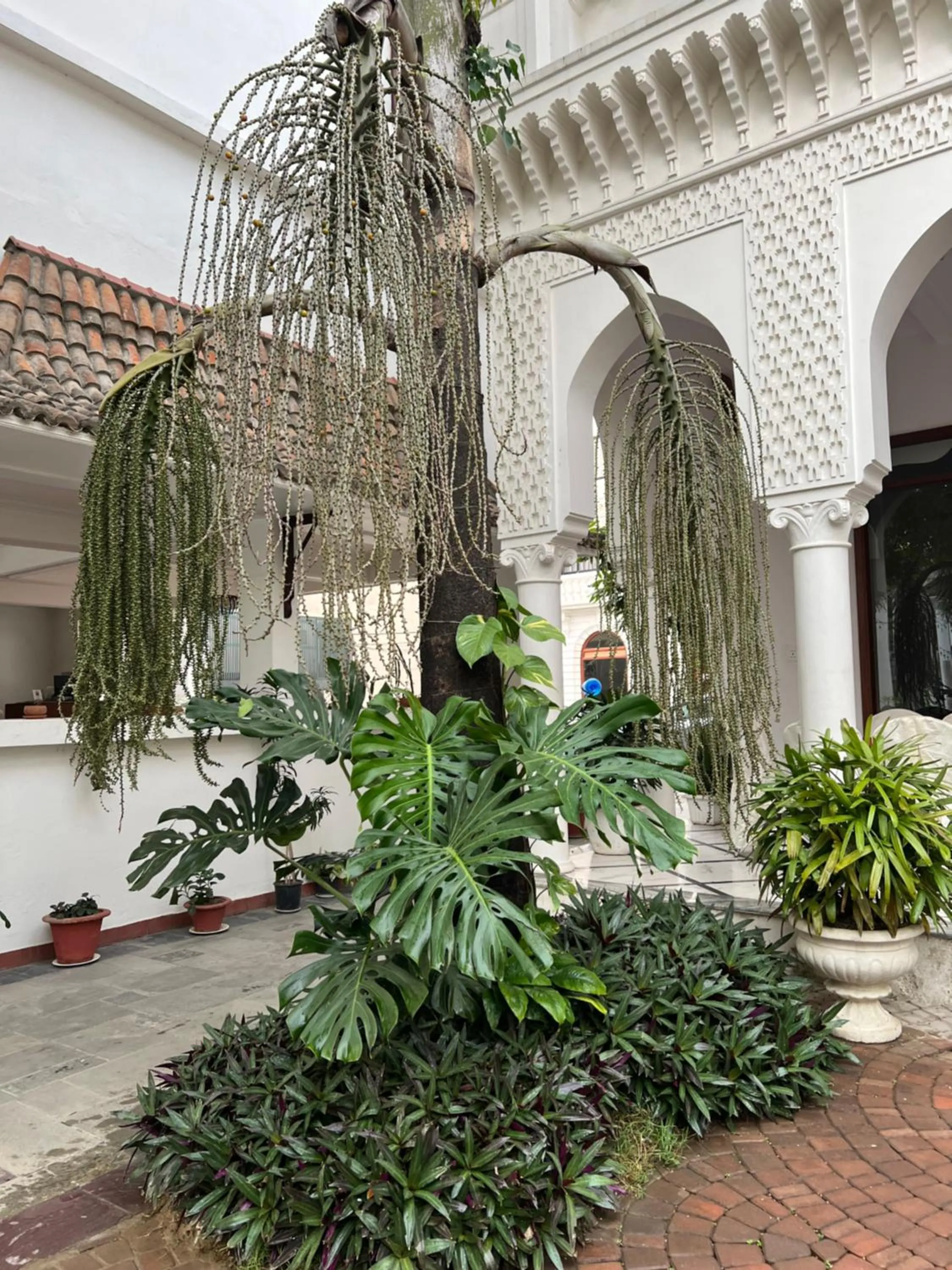 Spring in Club De Novo Hotel