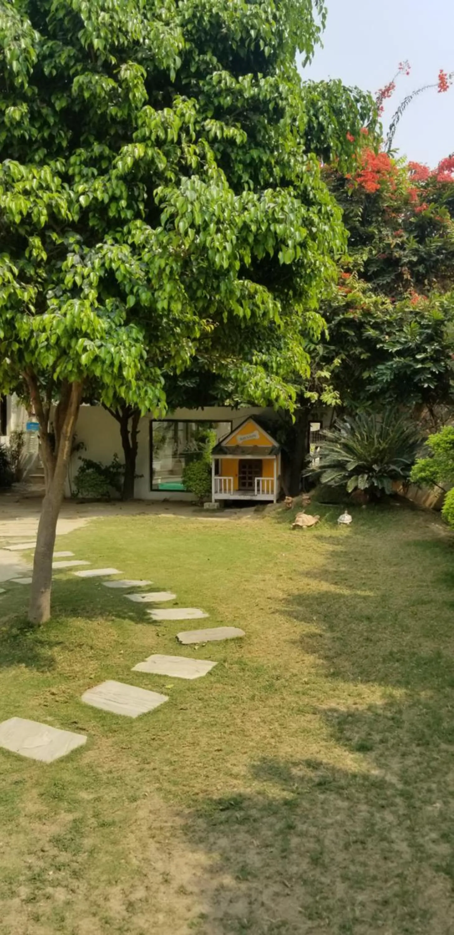 Garden in Club De Novo Hotel