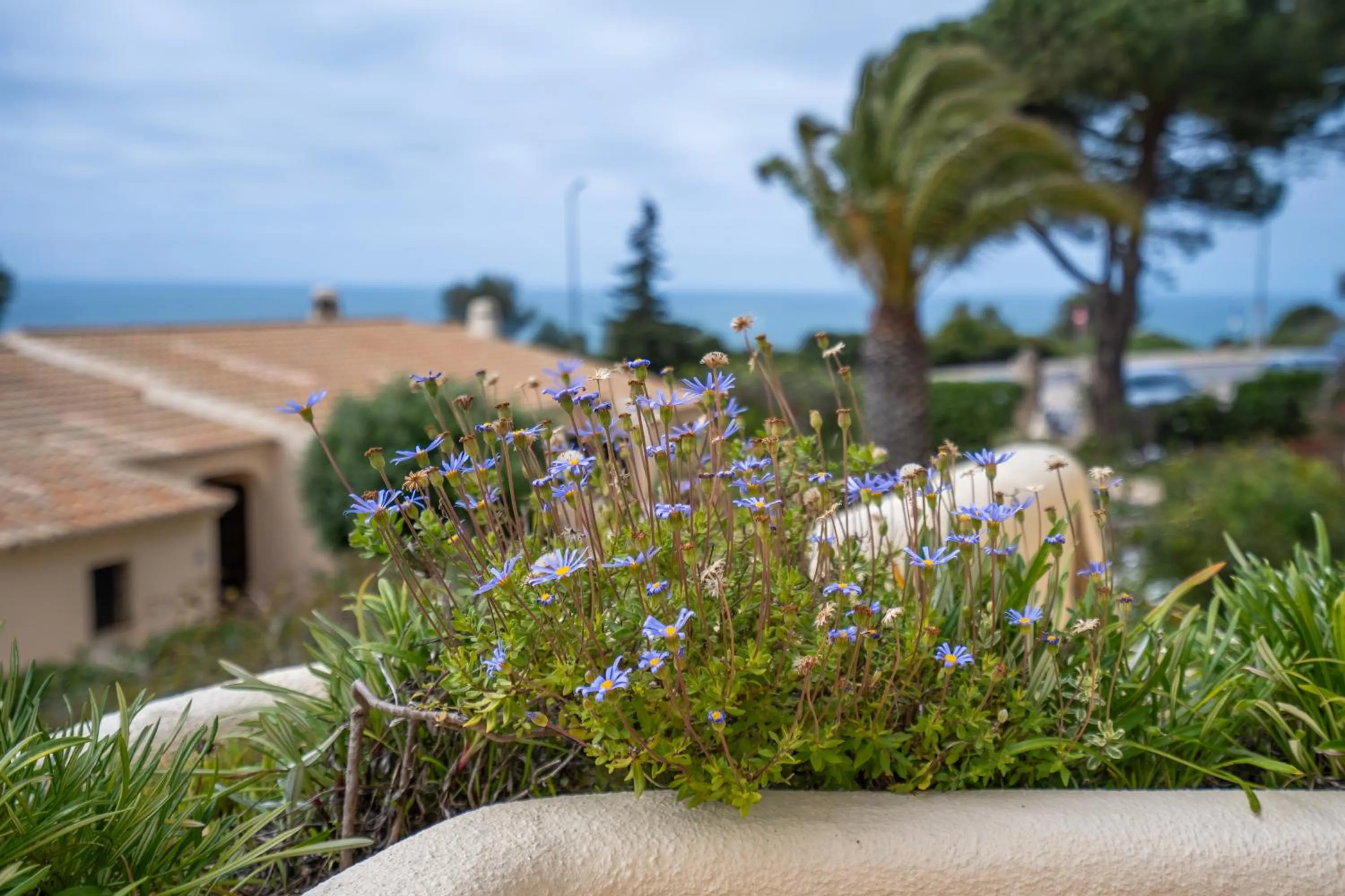 Natural landscape in Algar Seco Parque