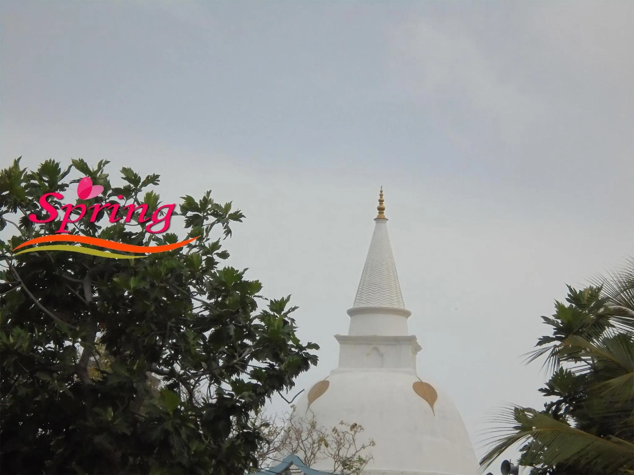 Off site in The Spring Holiday