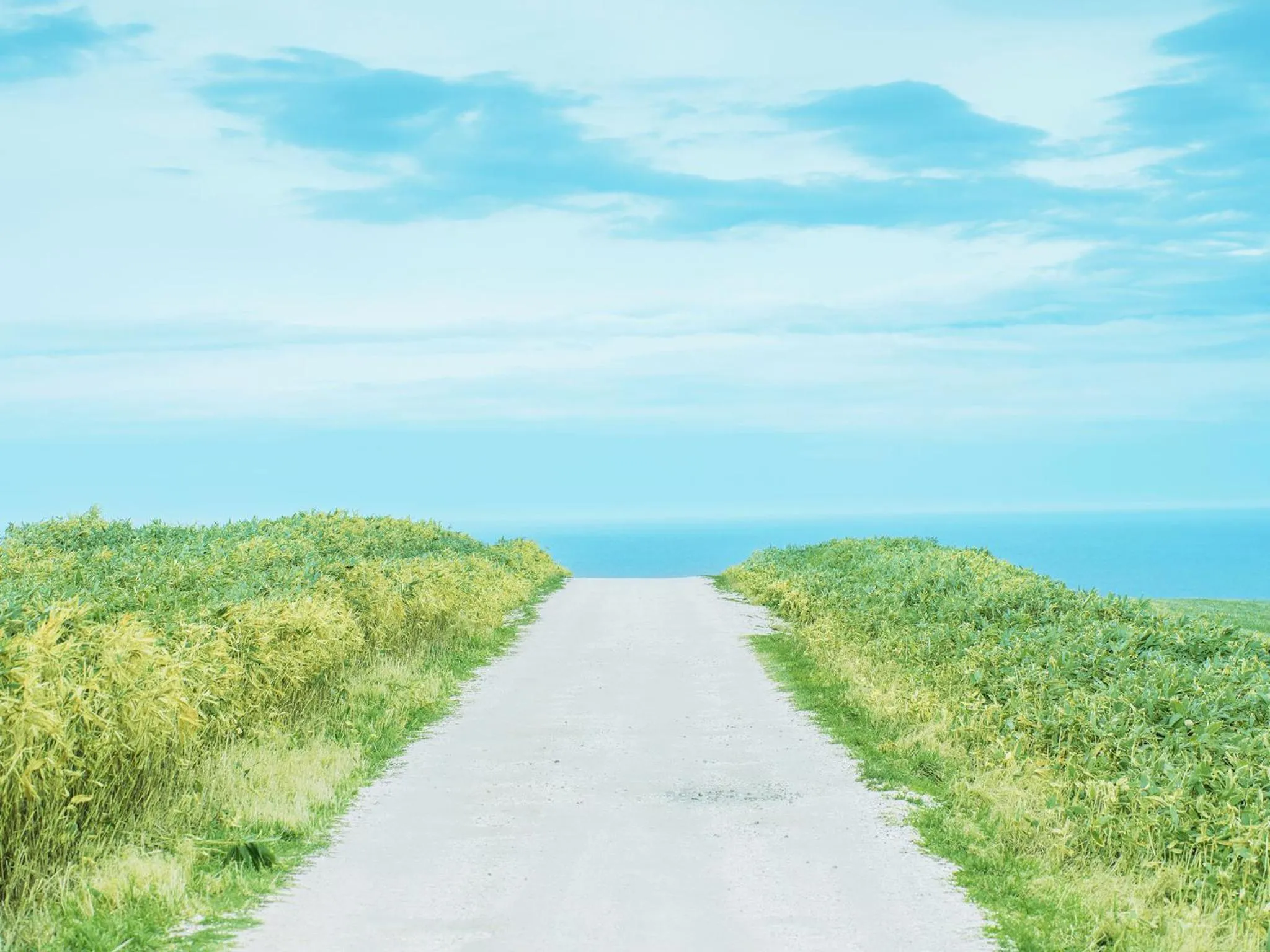 Nearby landmark in Surfeel Hotel Wakkanai