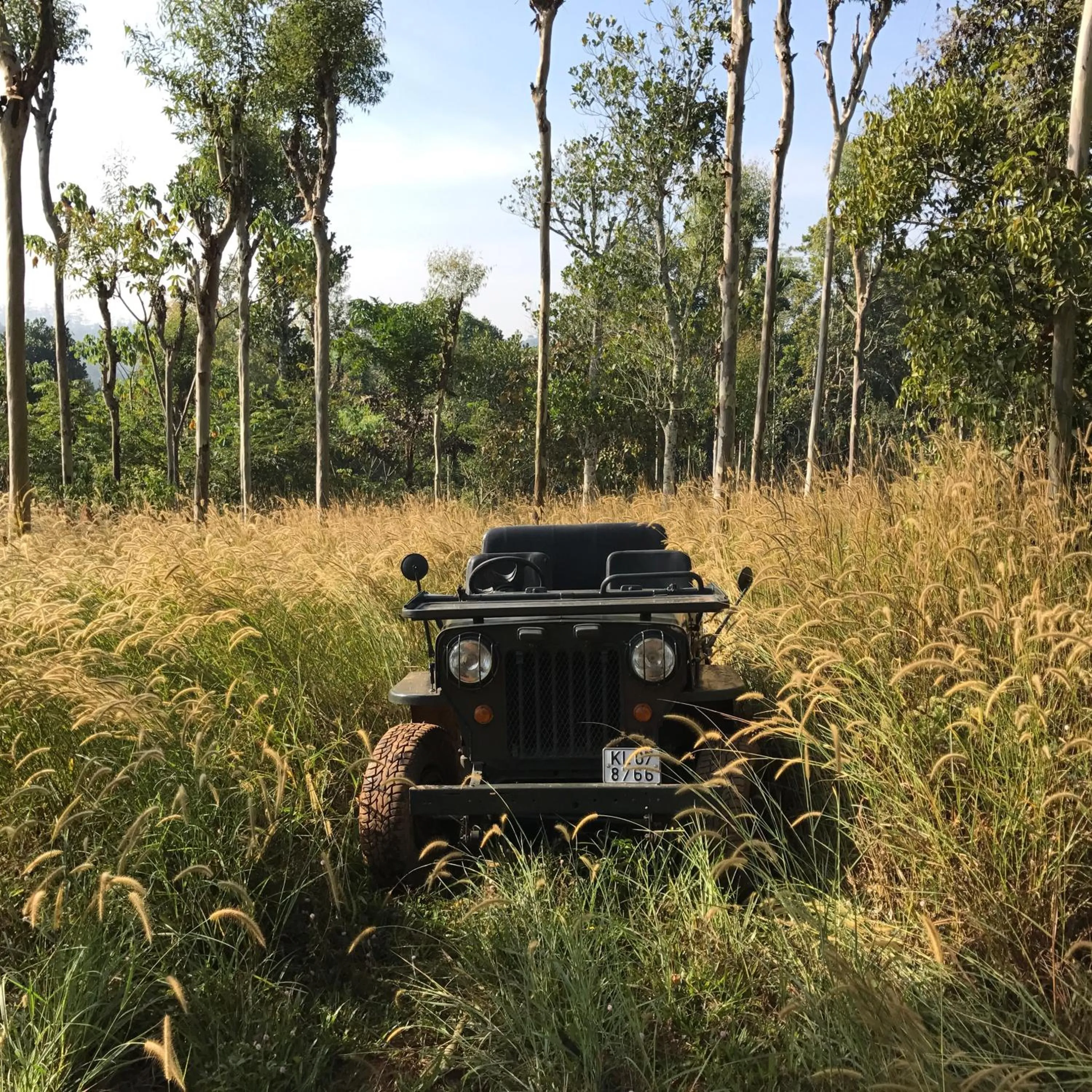 Activities in Pepper Trail