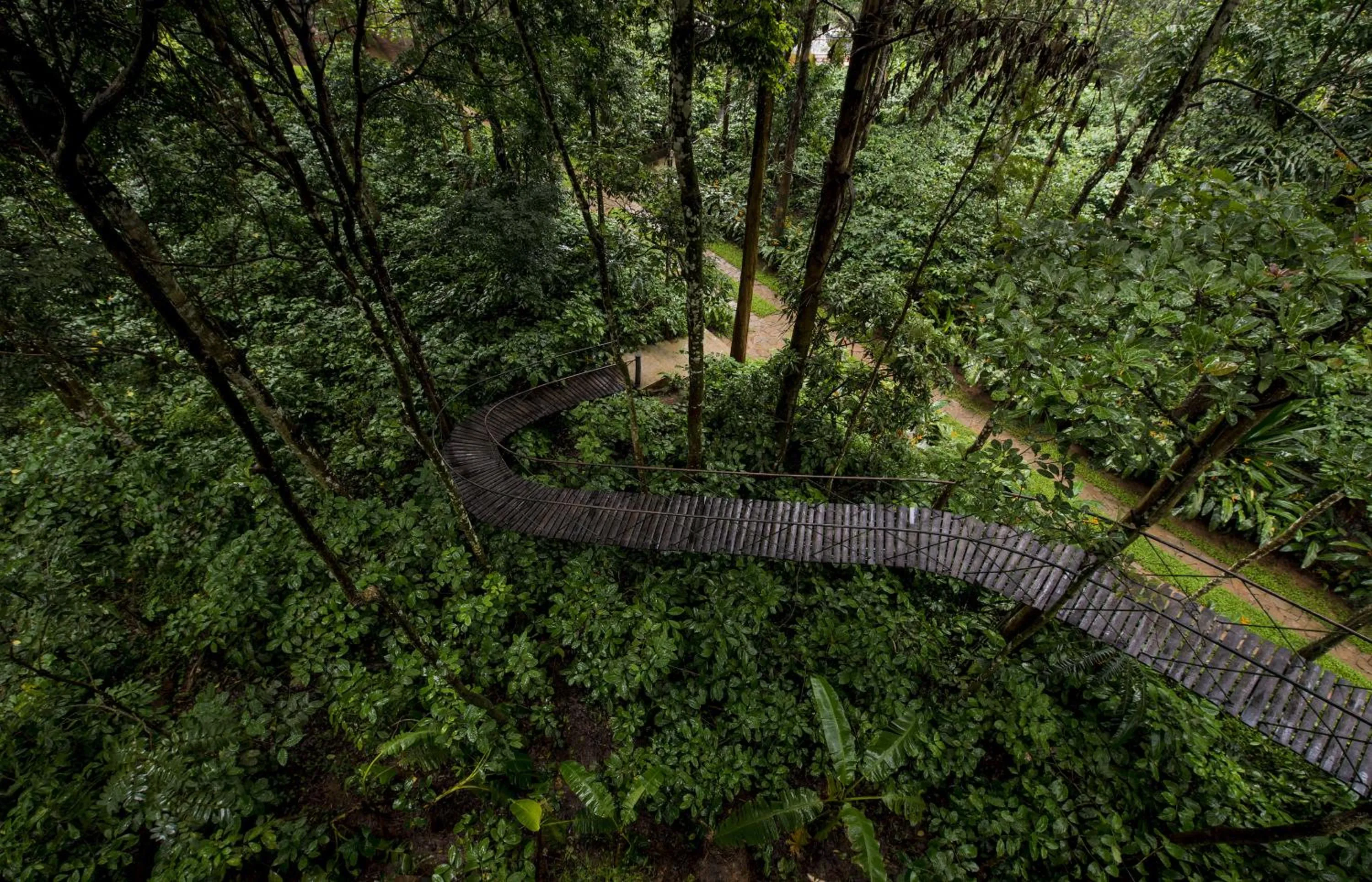 Bird's eye view in Pepper Trail