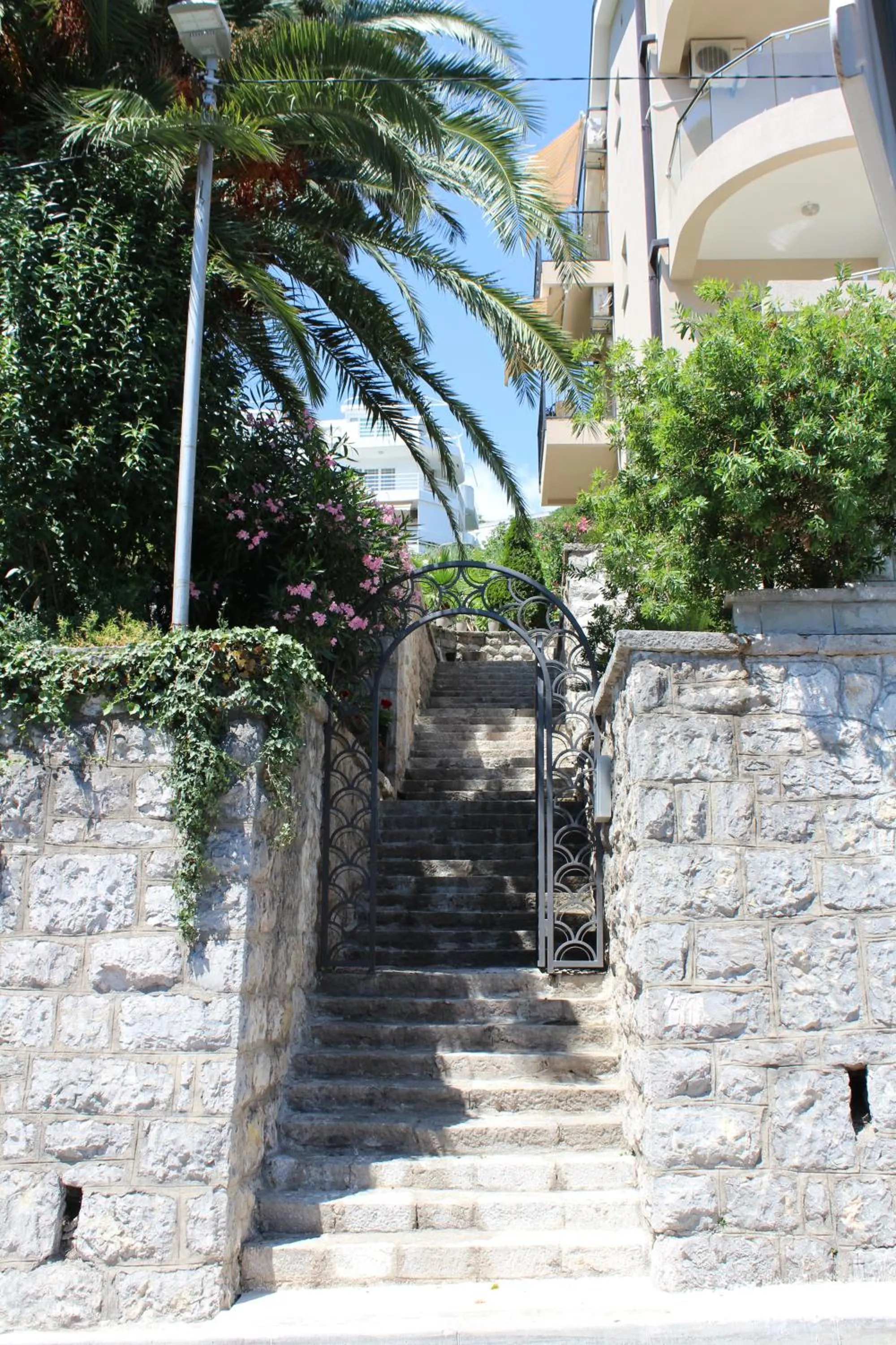 Garden in Swiss Residence Montenegro