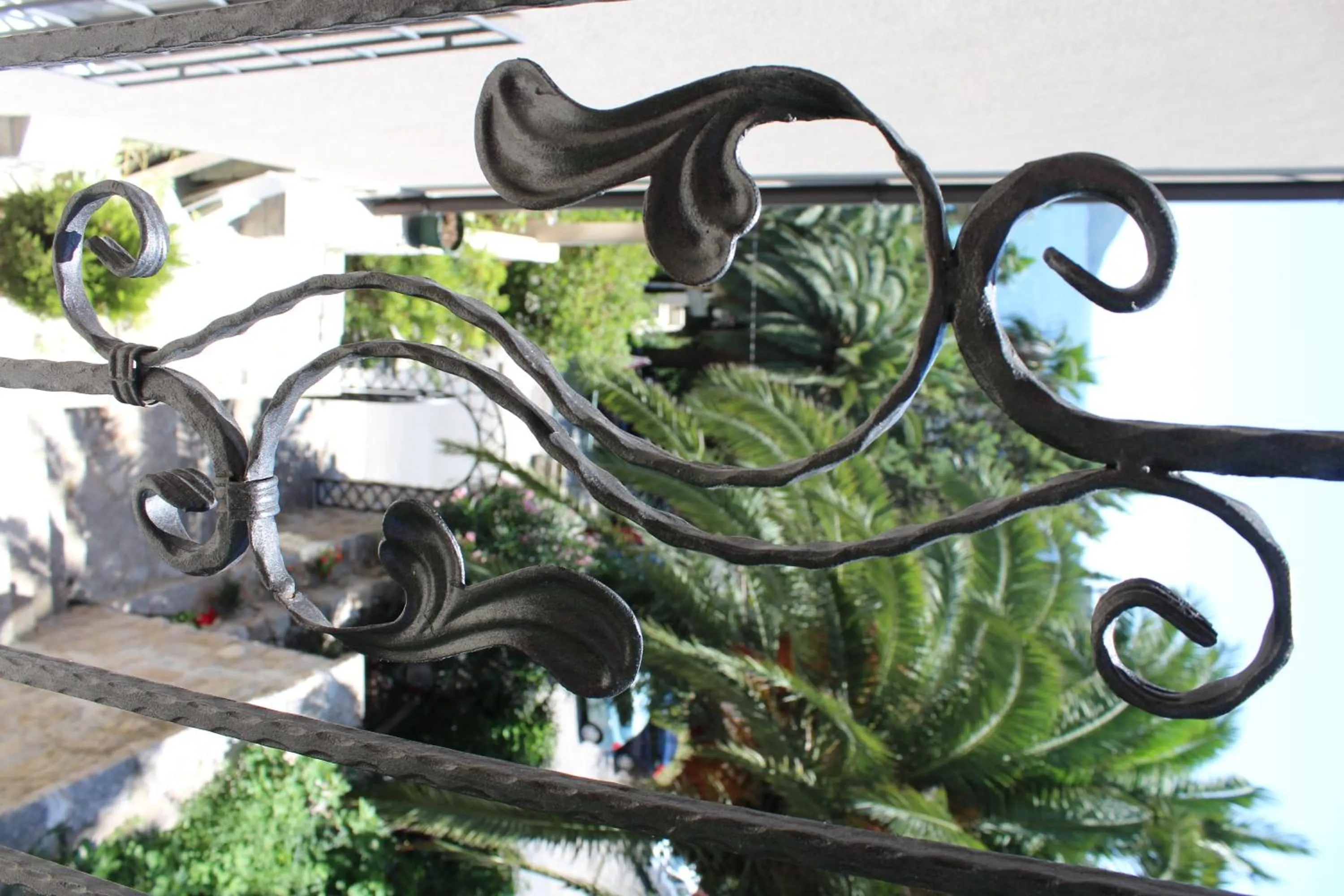 Day in Swiss Residence Montenegro