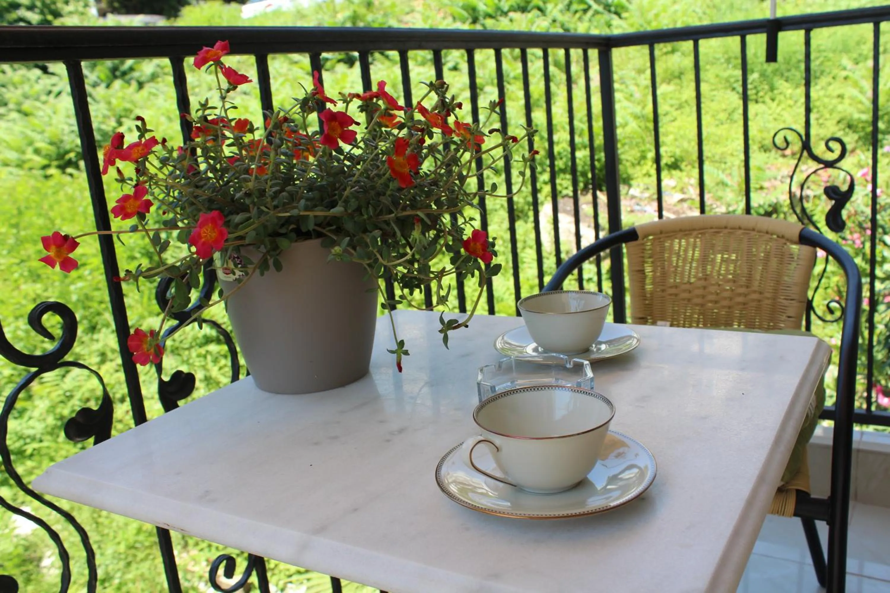 Neighbourhood in Swiss Residence Montenegro