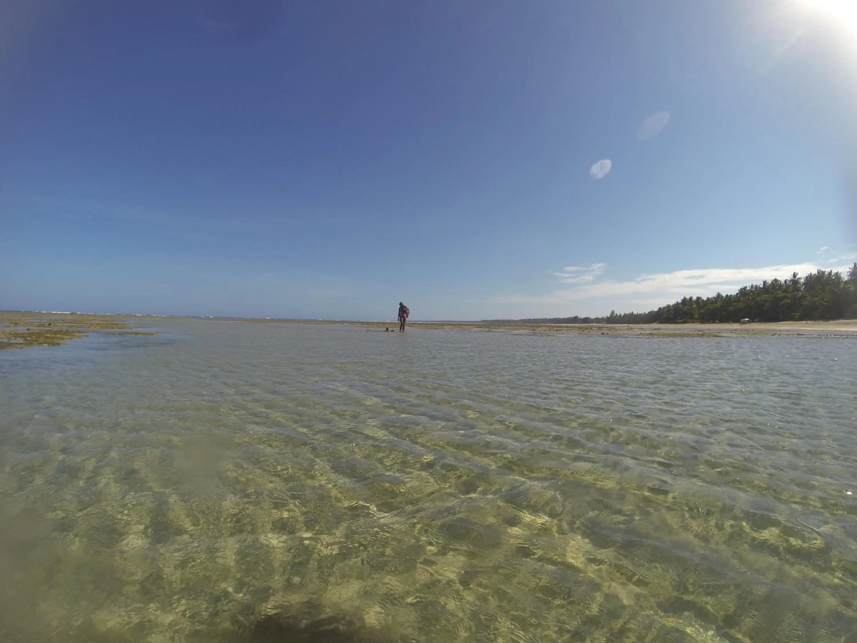 Beach in Local Brasil House