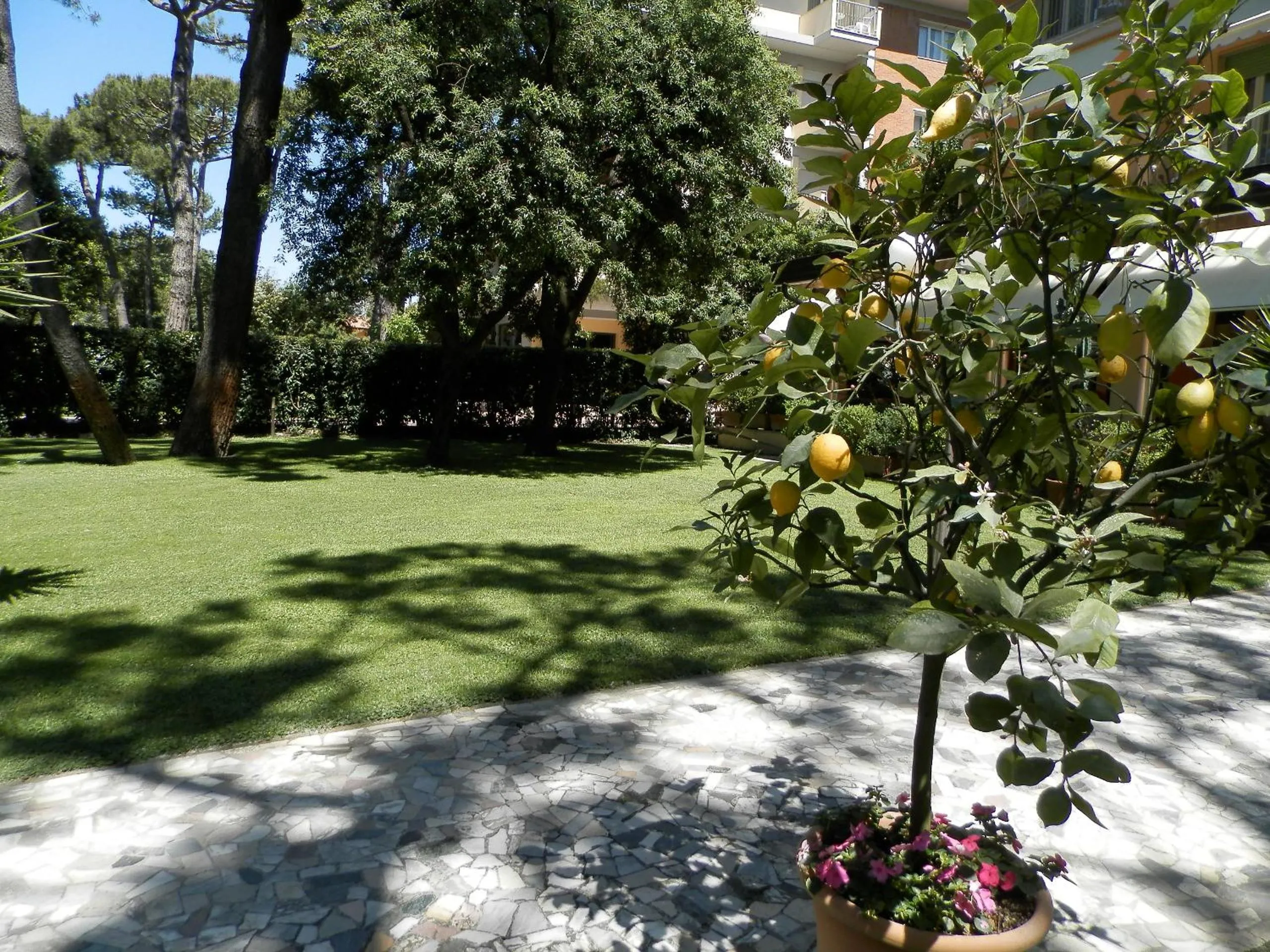 Hotel Mediterraneo