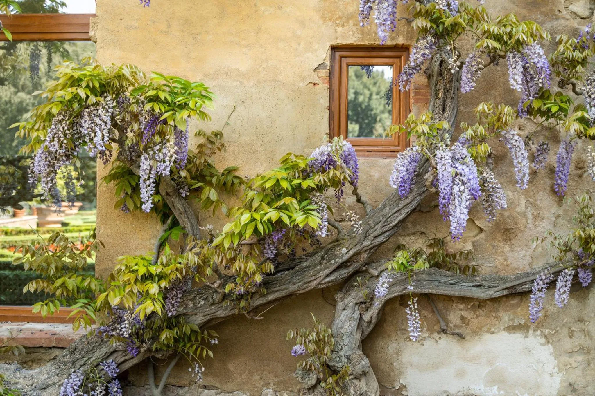 Garden in Certosa di Pontignano Residenza d'Epoca - Place of Charme
