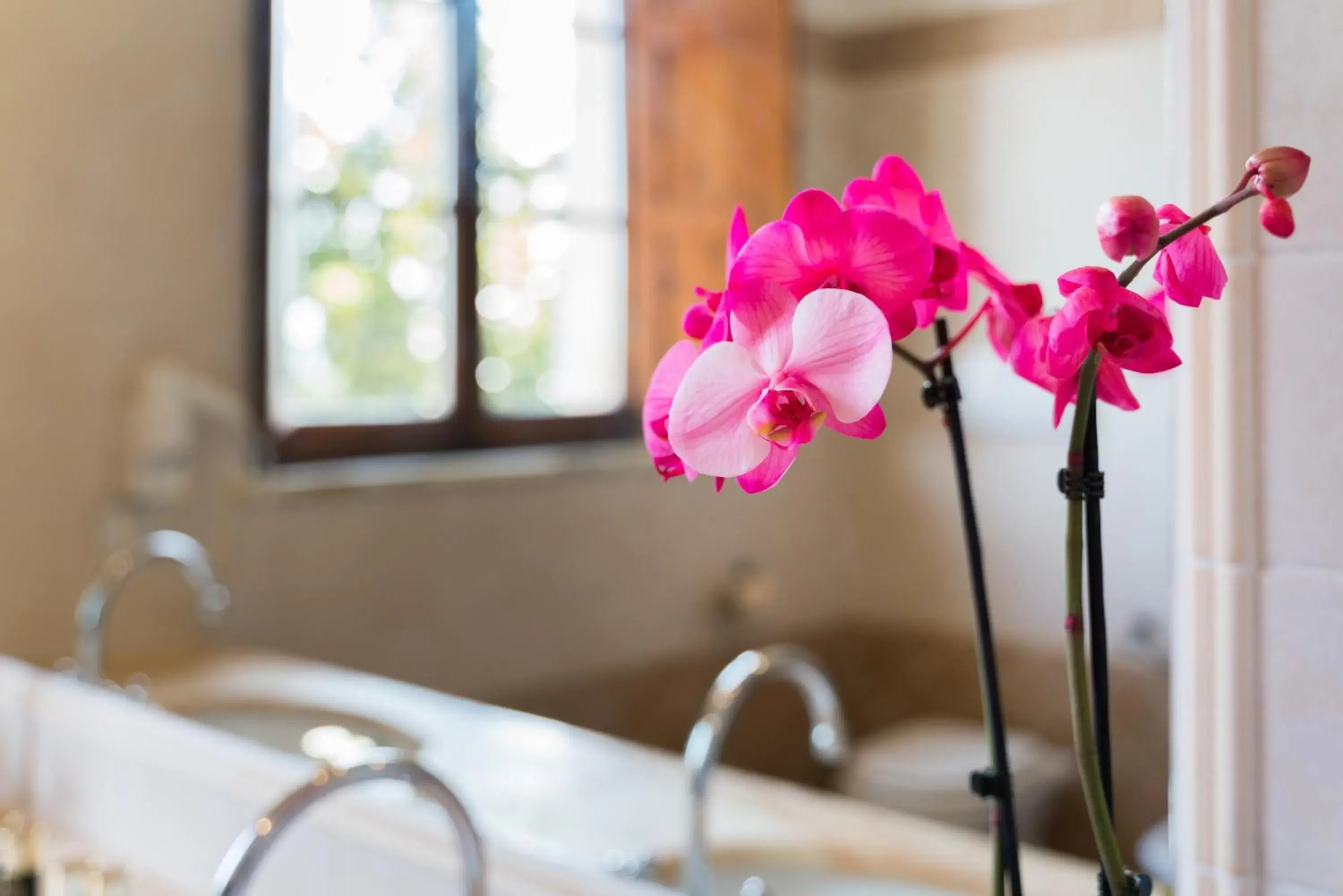 Garden view in Certosa di Pontignano Residenza d'Epoca - Place of Charme Garden view in Certosa di Pontignano Residenza d'Epoca - Place of Charme