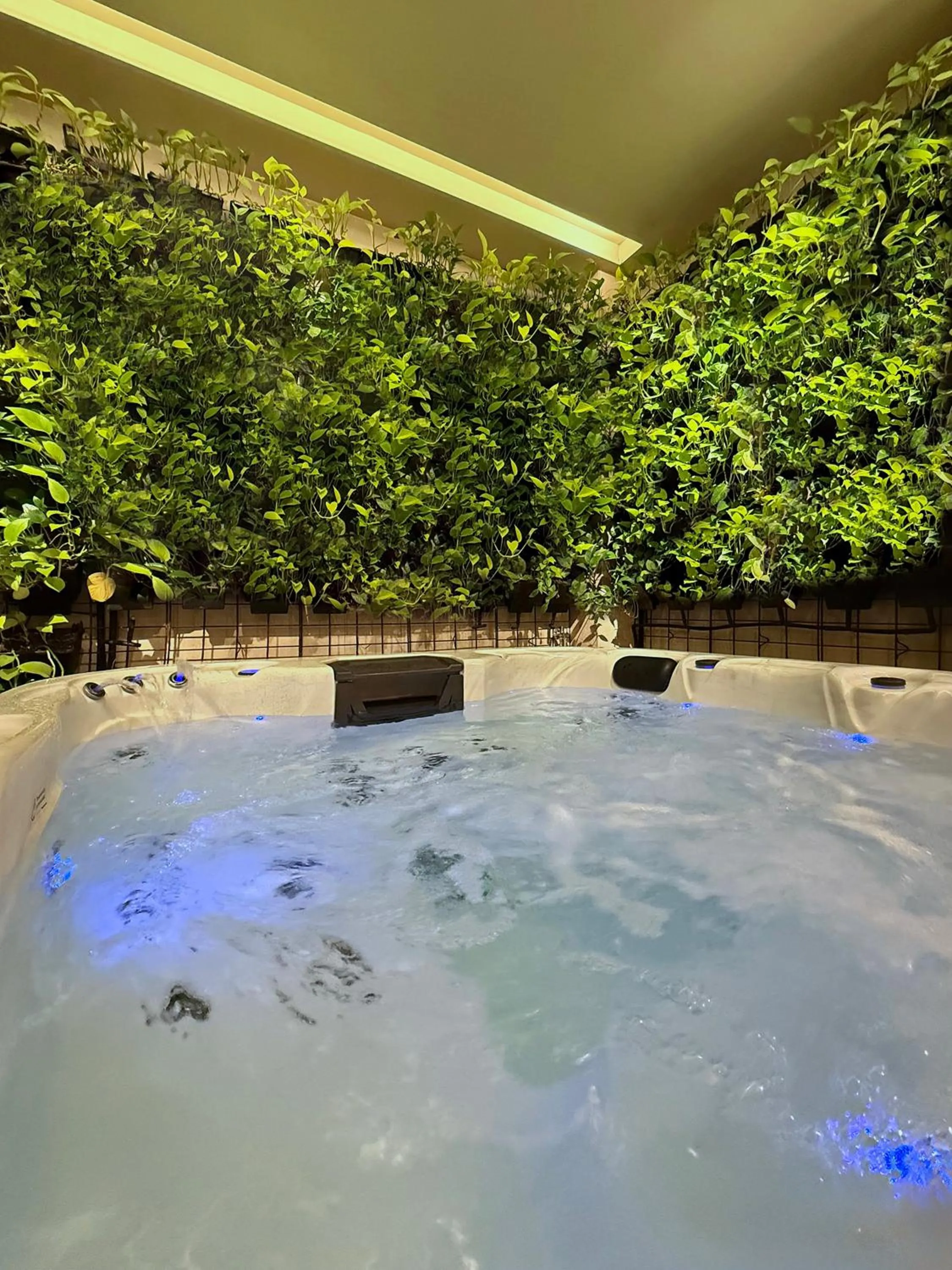 Hot Tub in Design Hotel & Private Spa - Tbilisi Edition