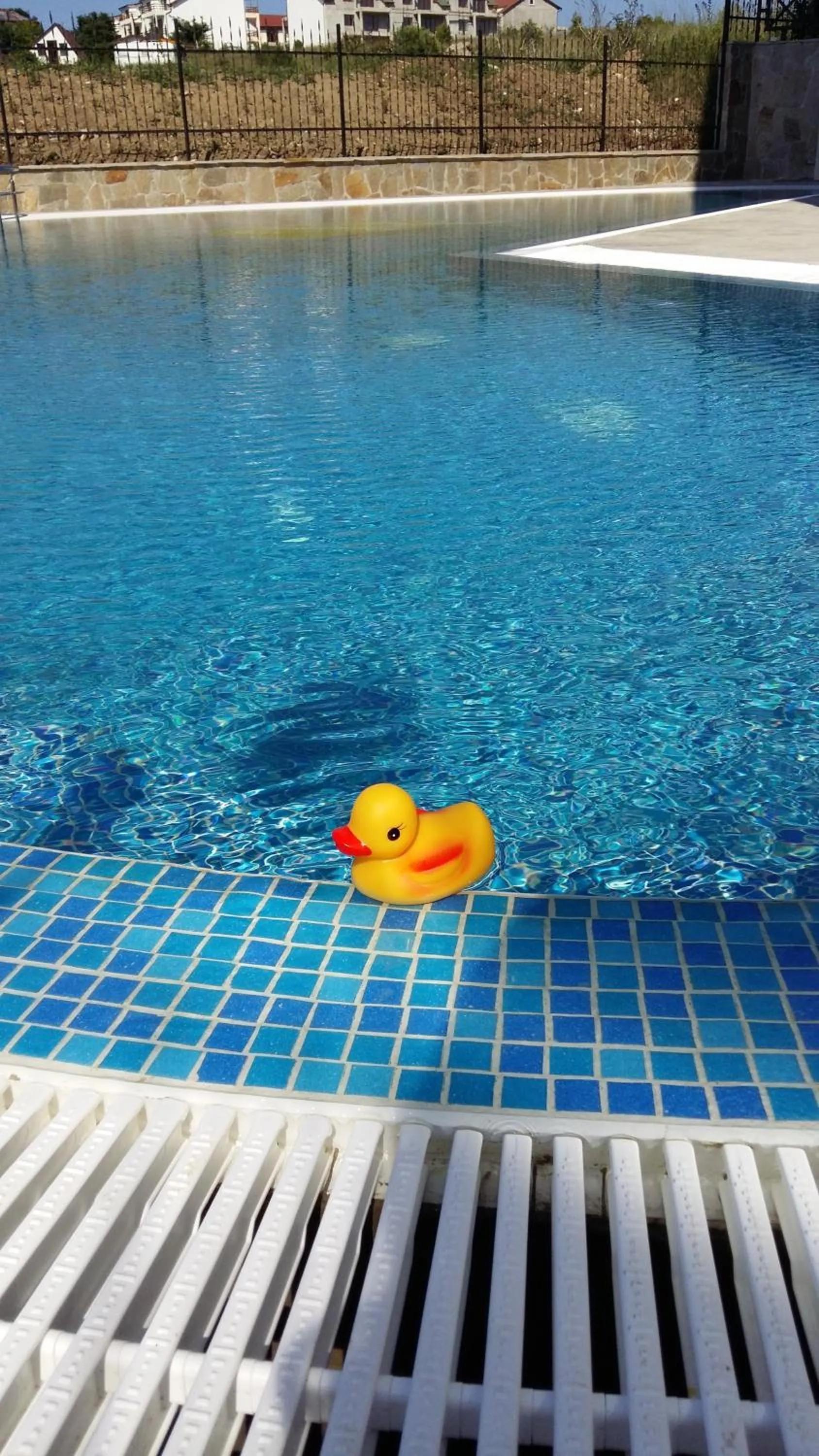 Swimming pool in Toma's Residence - Front Beach