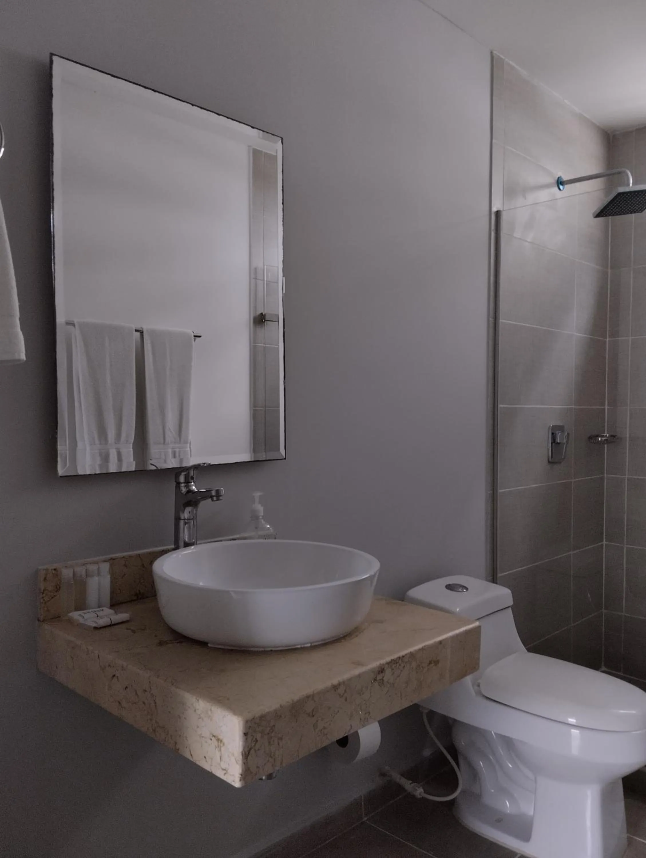 Bathroom in Hotel OR Suite