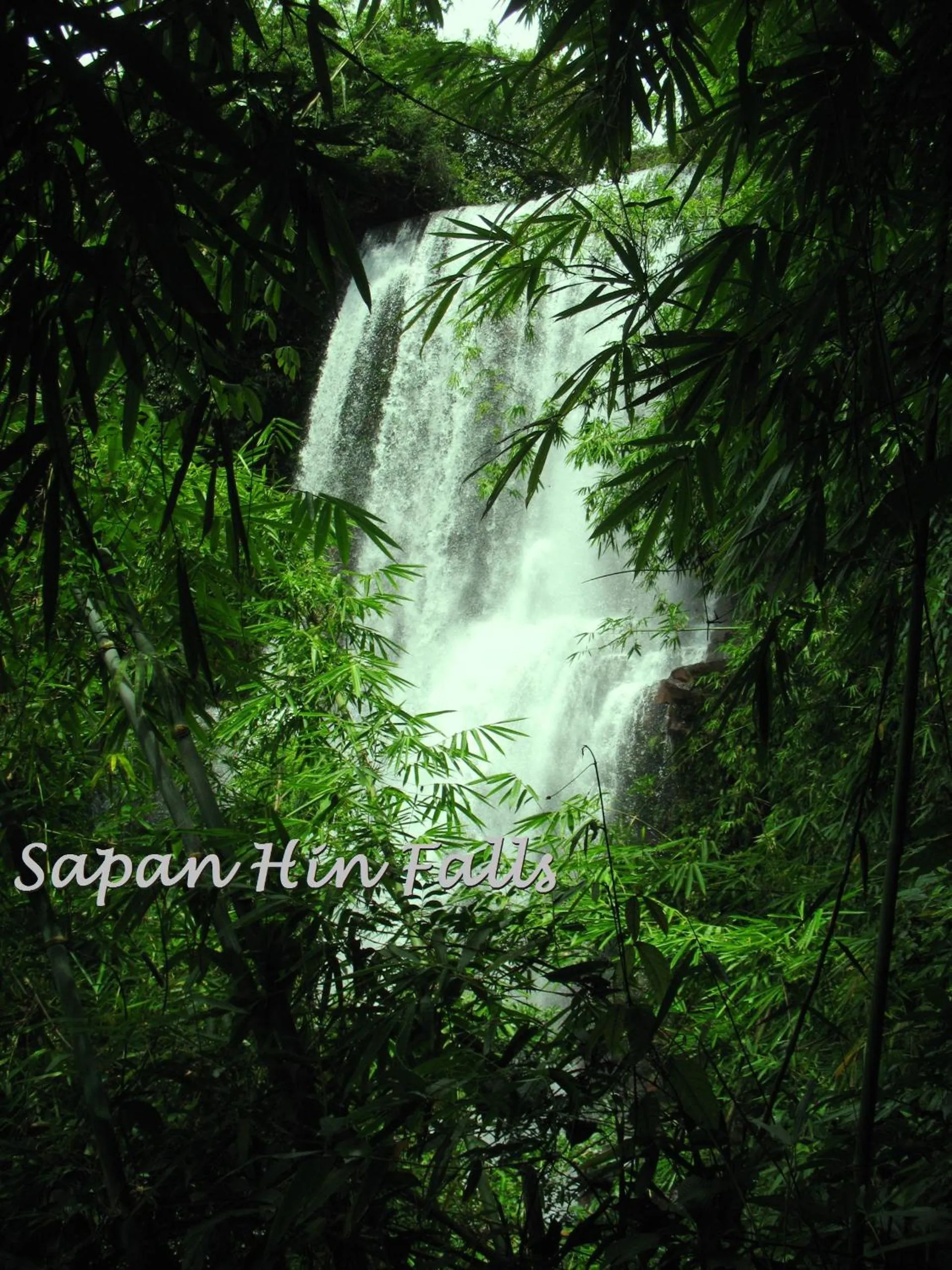 Area and facilities in Residence House