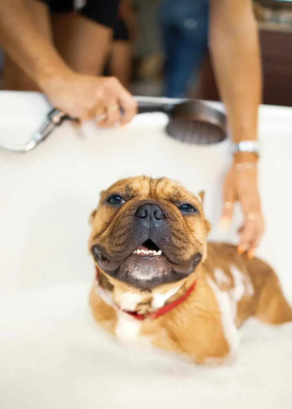 King Room with Sea View in Naturally Pacific Resort King Room with Sea View in Naturally Pacific Resort