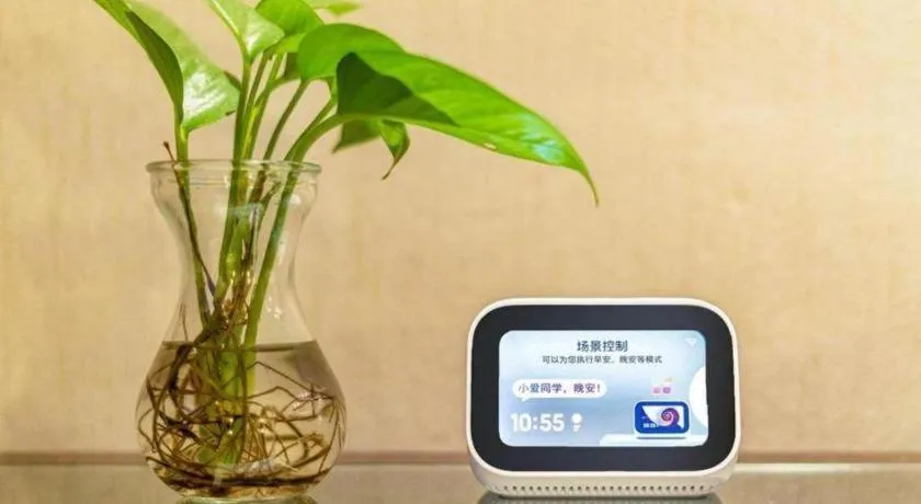 Qingdao Danube International Hotel