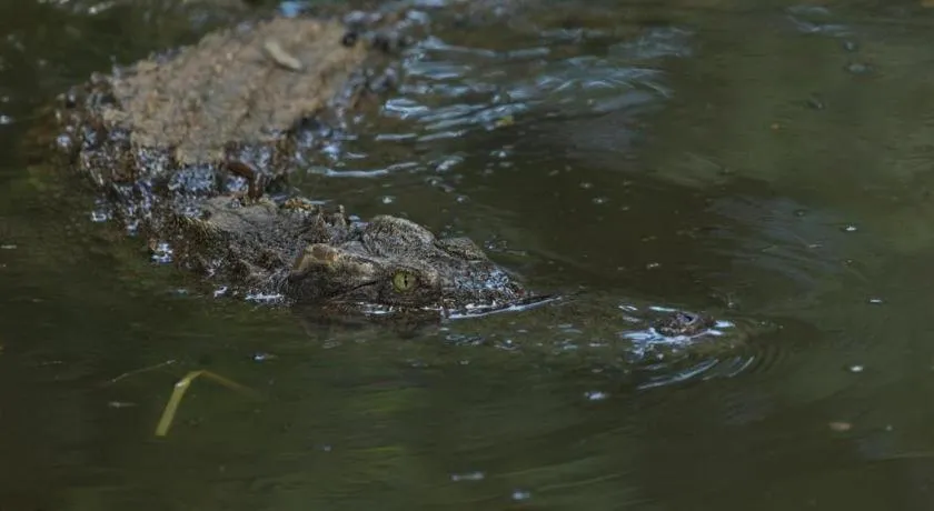 Hotel San Marco Davao