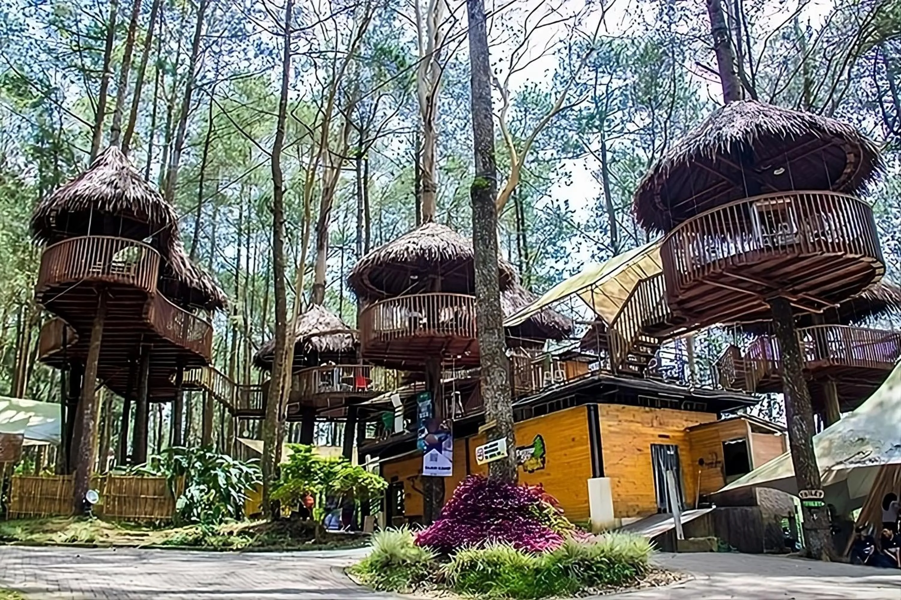 Restaurant/places to eat in Kopeng Treetop Adventure Park