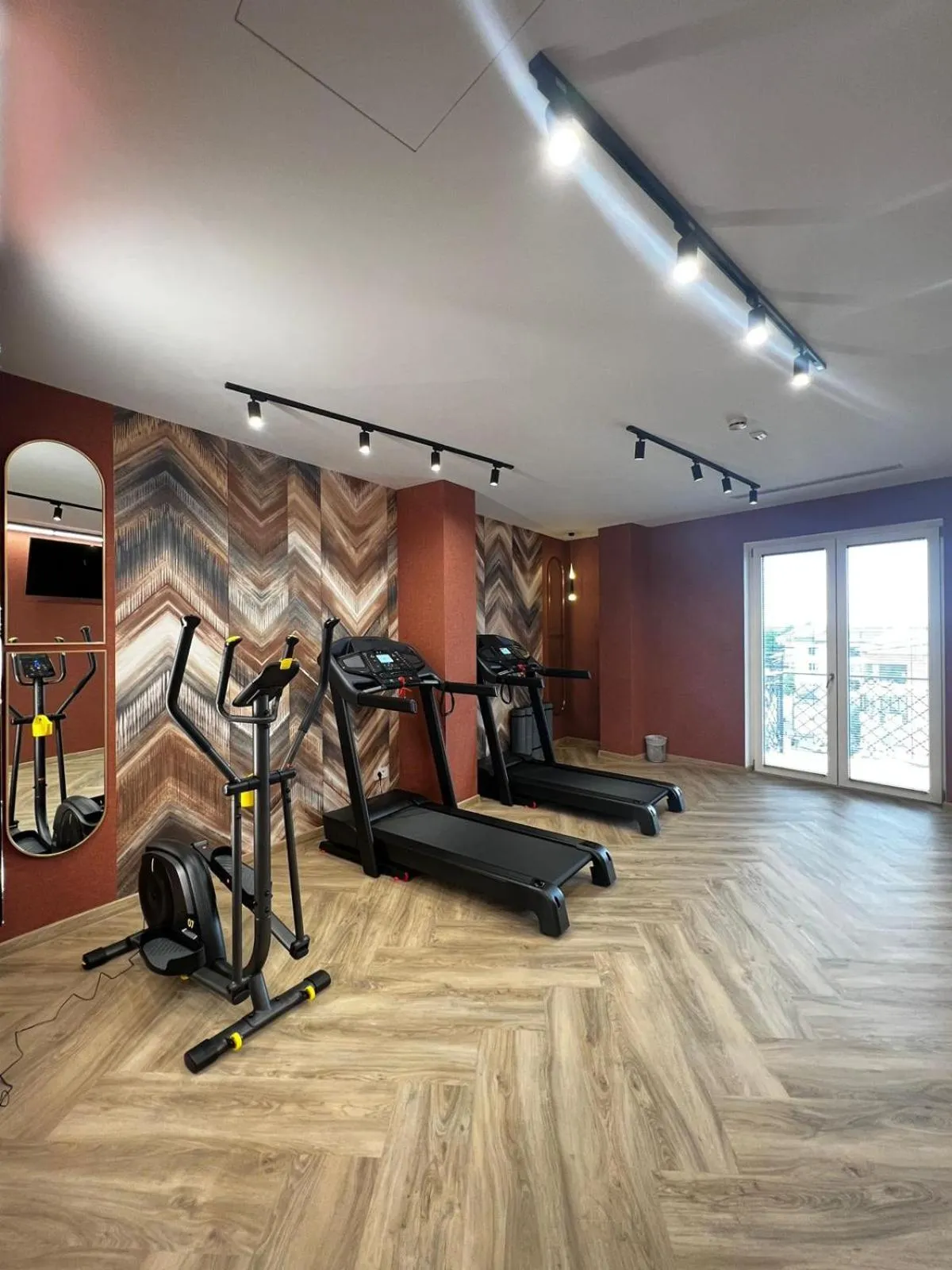 Fitness centre/facilities in Boutique Hotel Balș