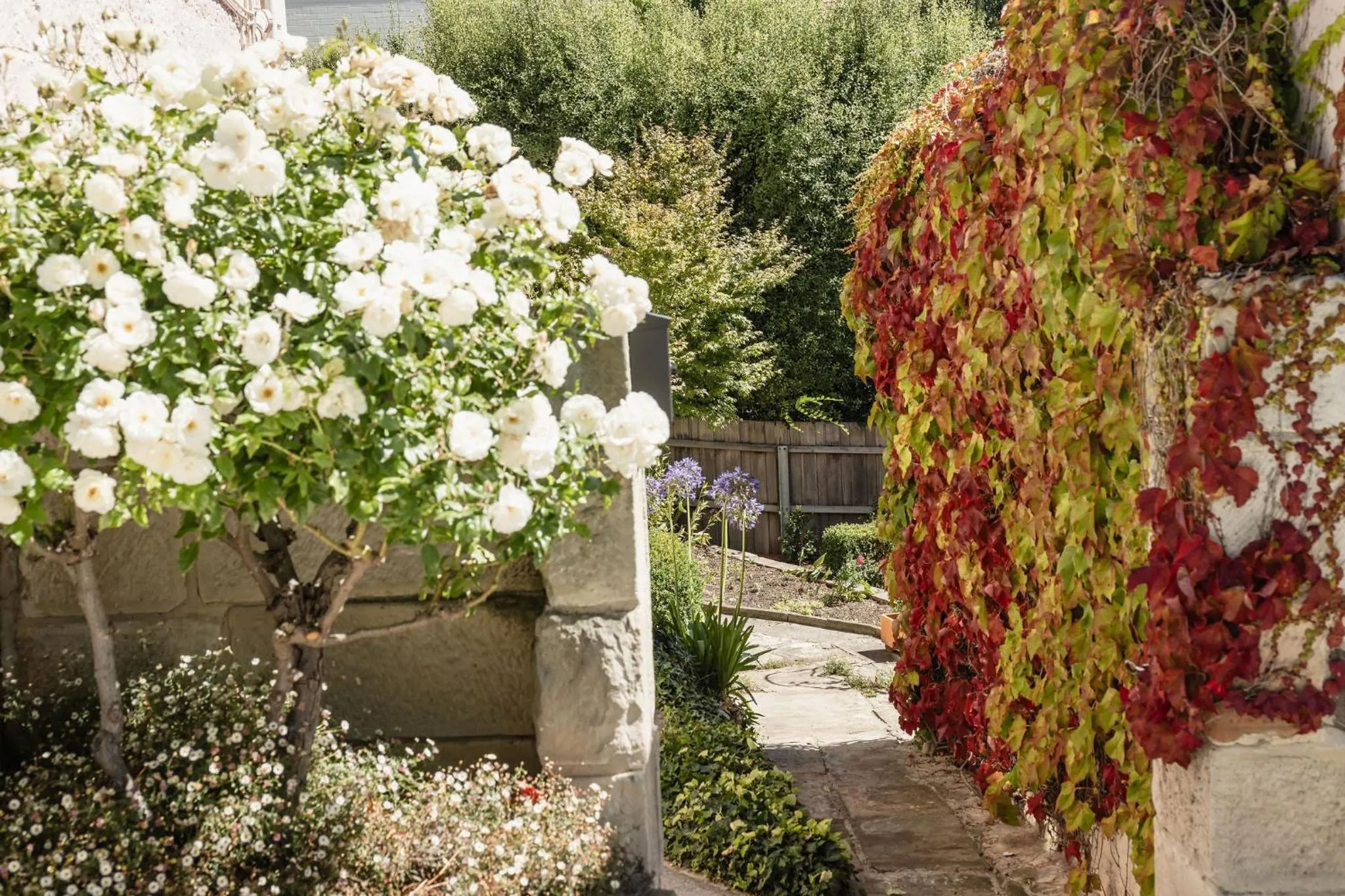 Garden in Maison del Mar