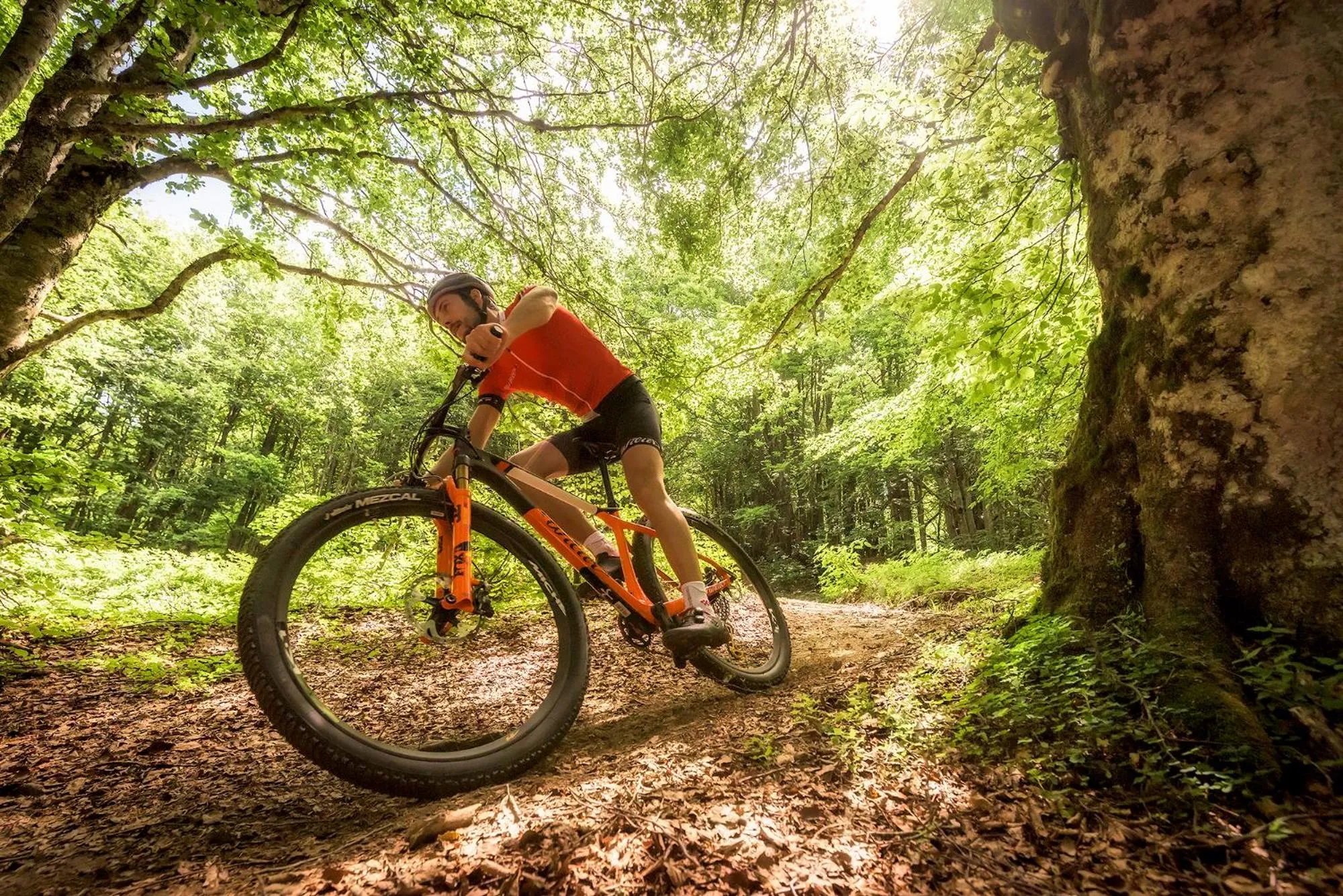 Cycling in Hotel Ristorante La Lanterna