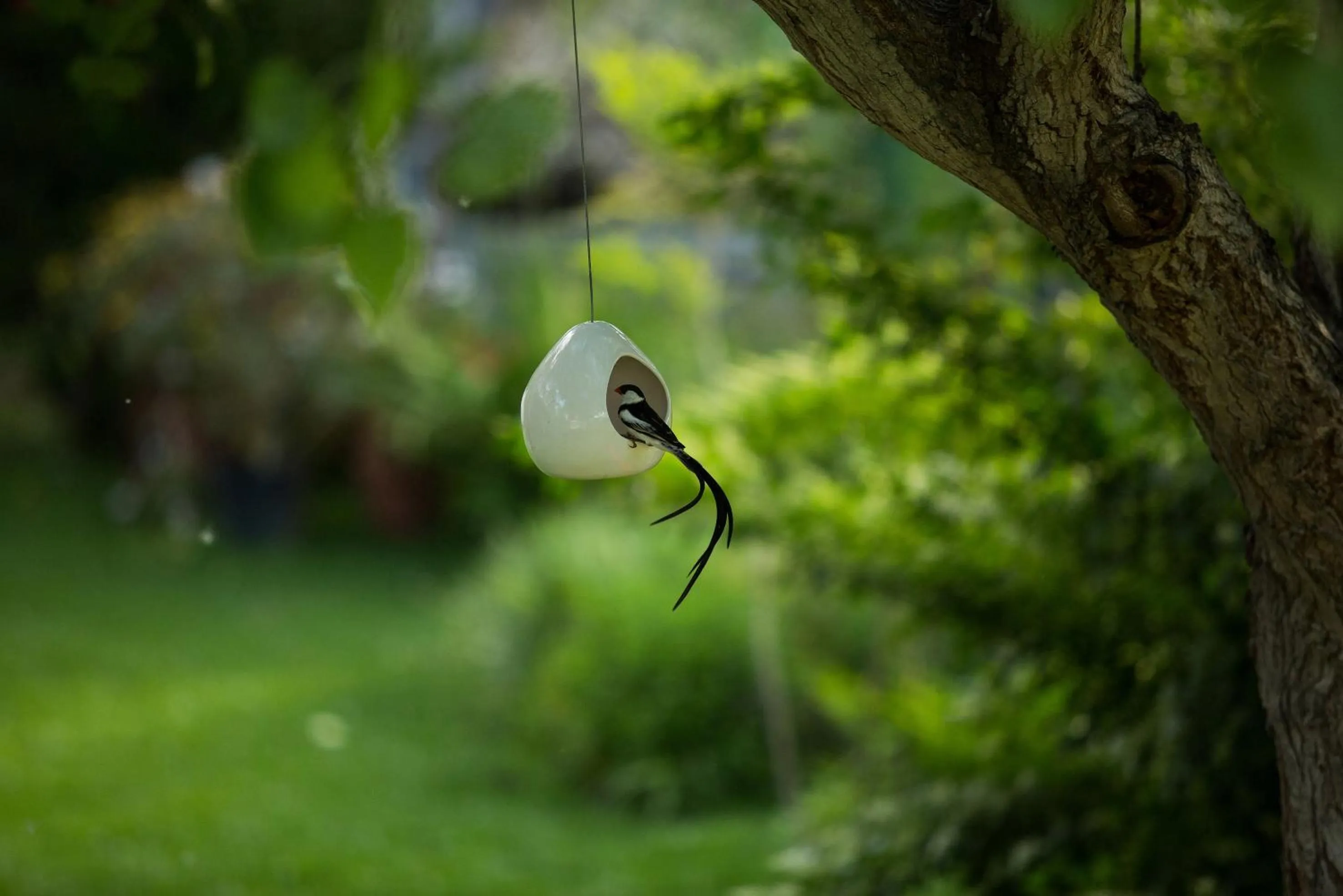 Garden in In Abundance Guest House