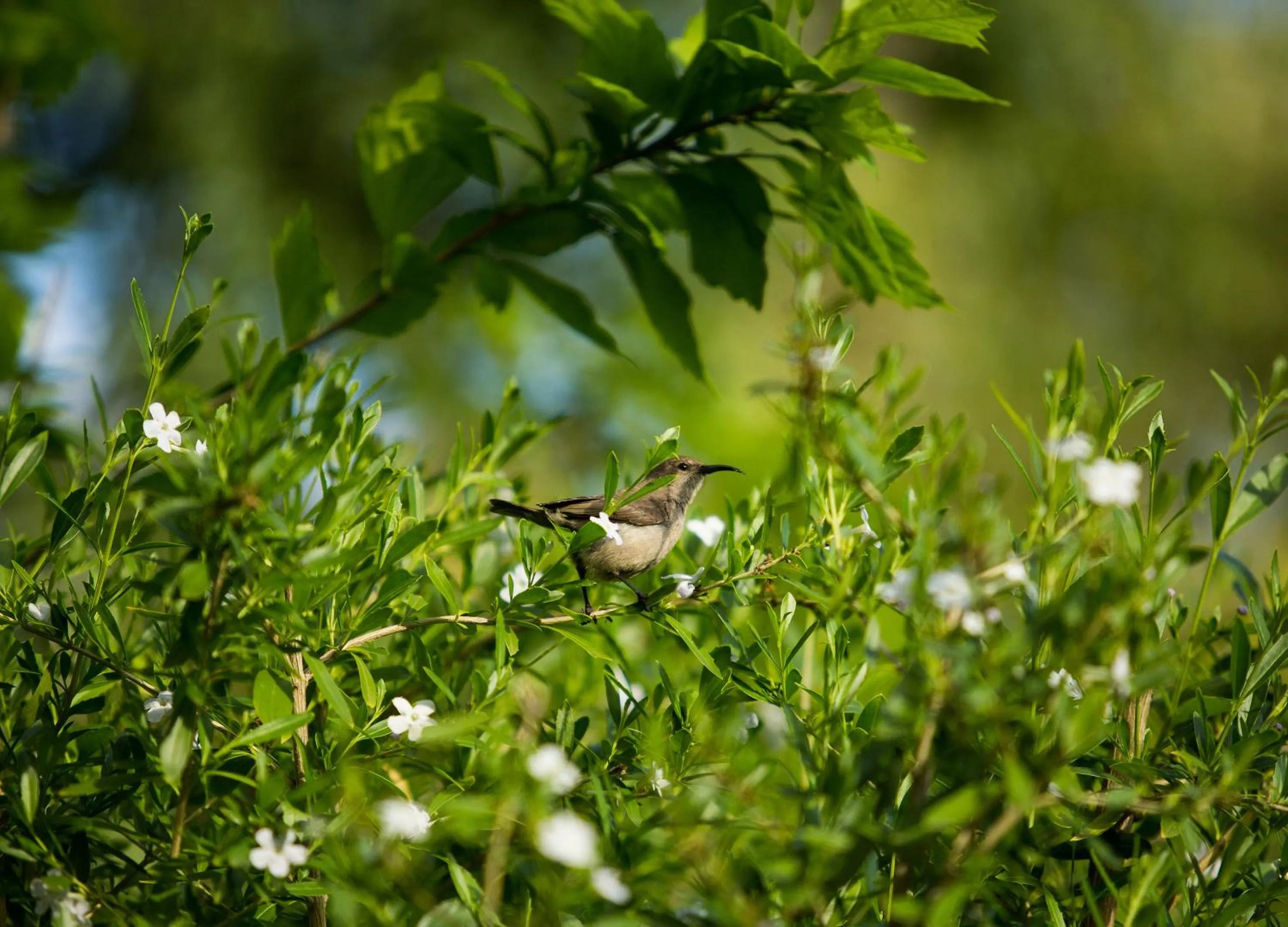 Activities in In Abundance Guest House