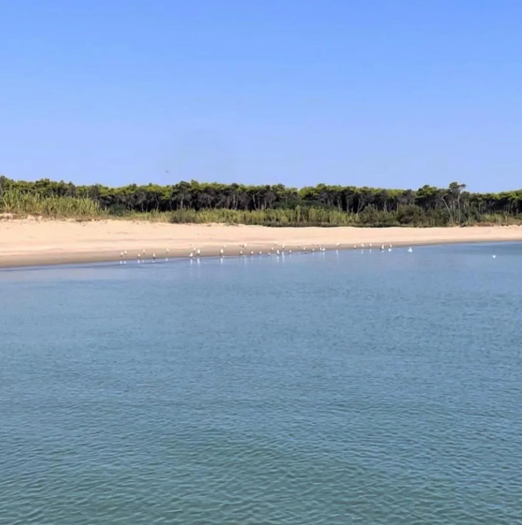 Natural landscape in Hotel Sacco