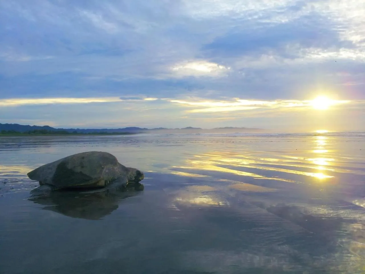 Natural landscape in Villa Marina Hotel